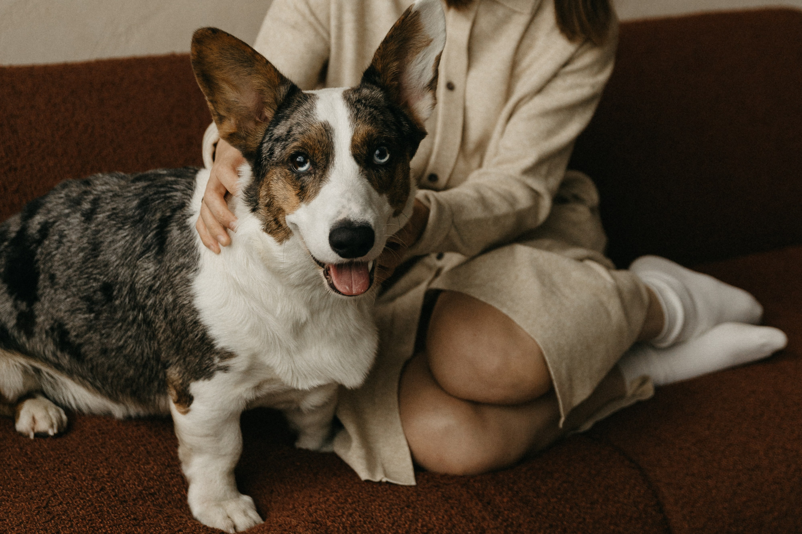 Алена, Виталик, Аня, Сэм. Главная