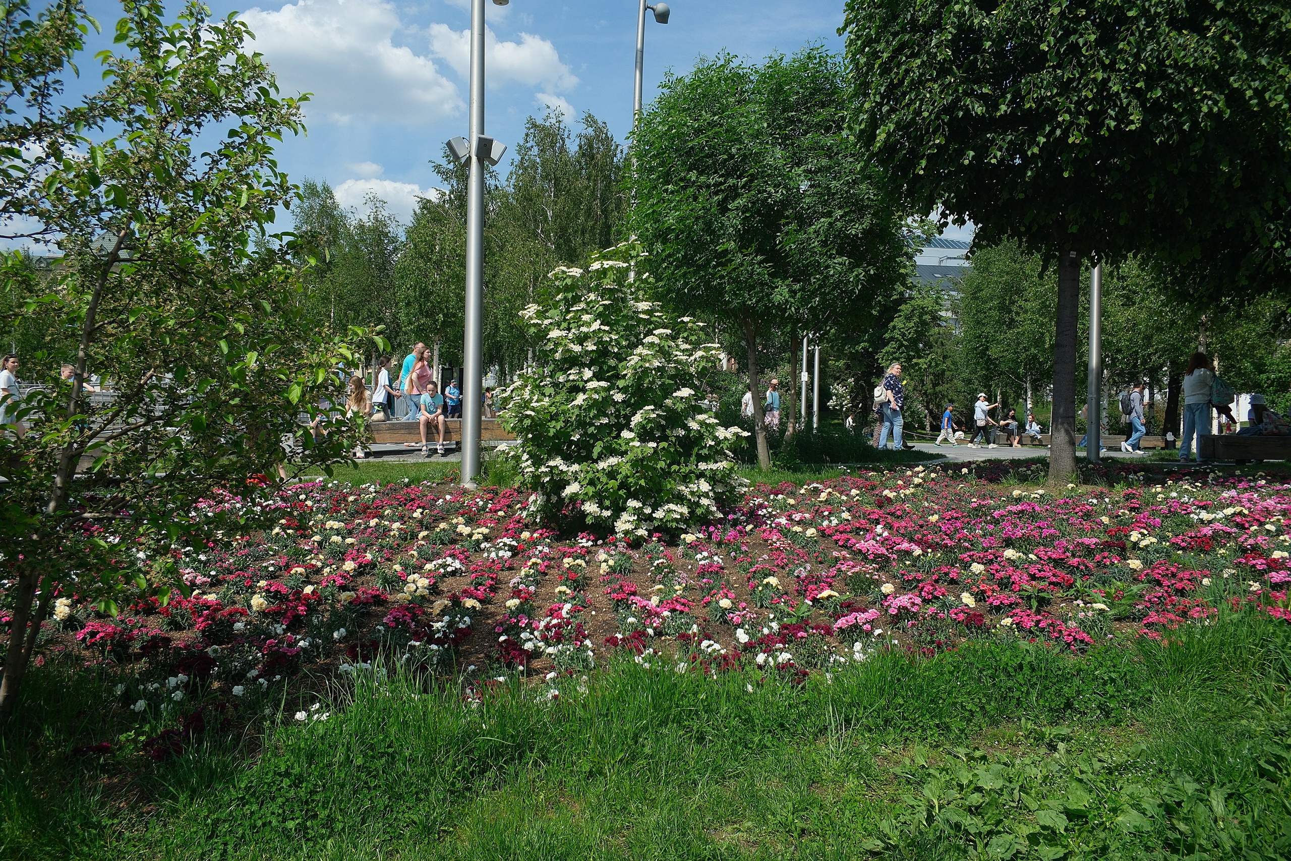 По Москве 25.05.2025. Улица, люди, жизнь…