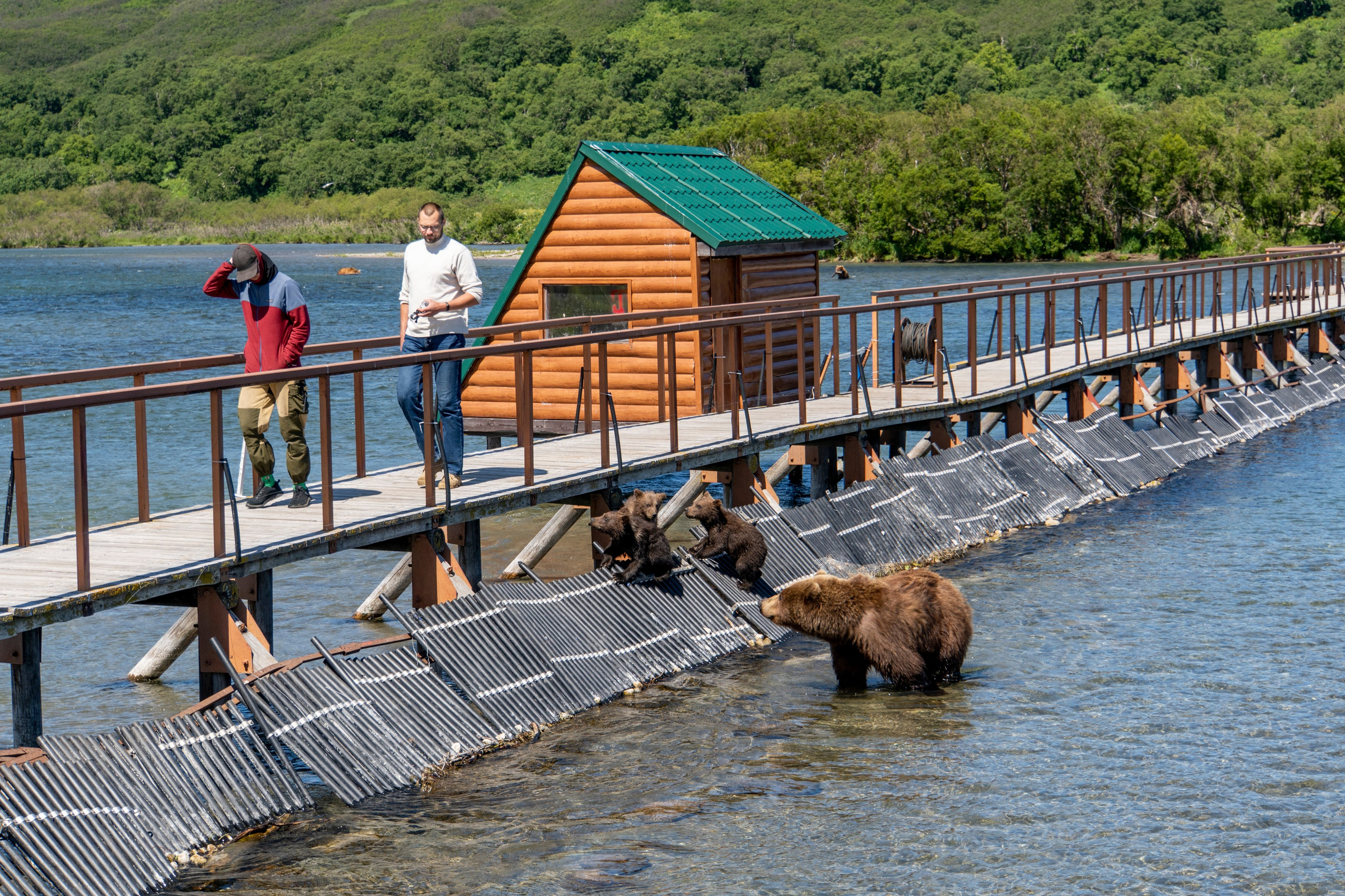 Вертолётные туры по Камчатке — лучшие локации за один день. Время Камчатки: чтобы найти свой путь, нужно скорость умножить на время