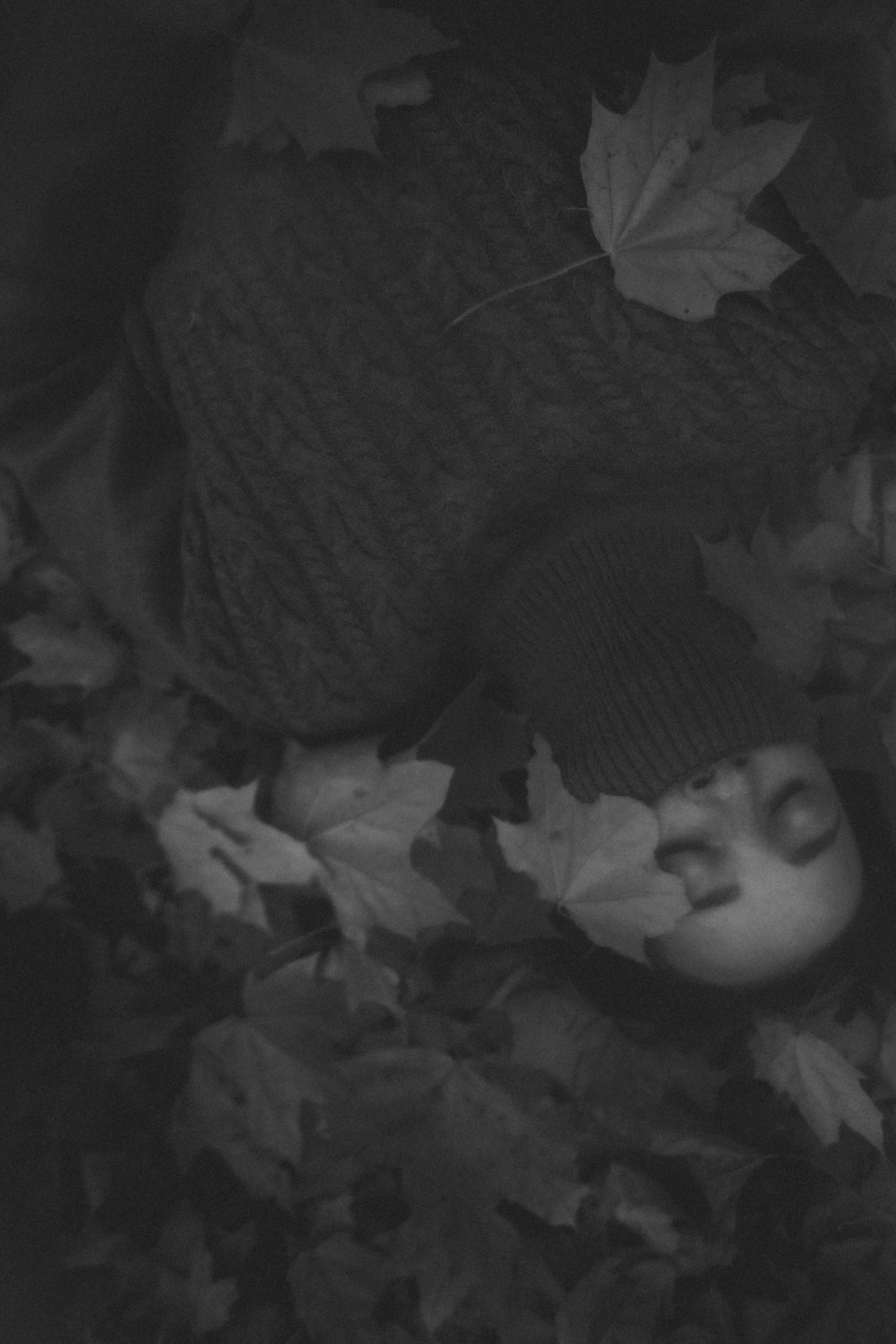 Лейтмотив осени. Аня. Фотограф в Нижнем Новгороде