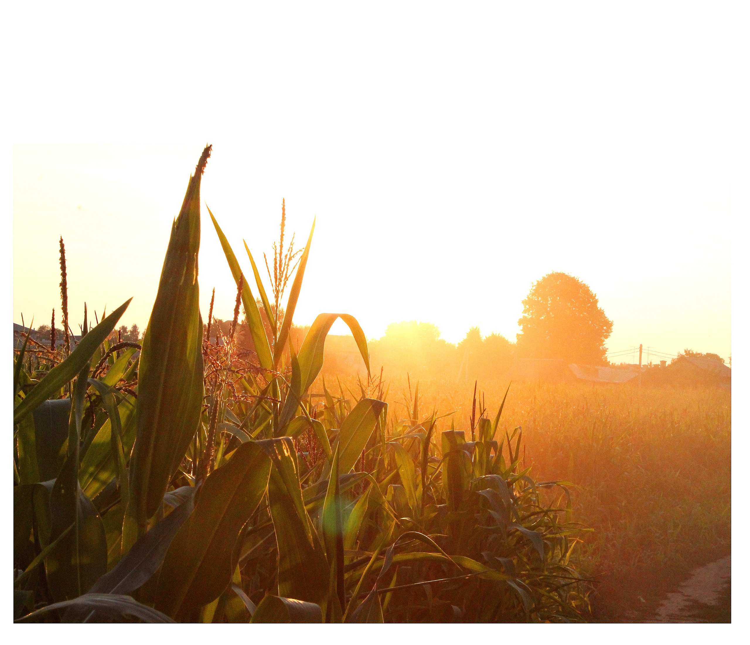 Мои первые работы. Фотограф из Москвы — DASHA NOVA | Авторская фотография в разных жанрах