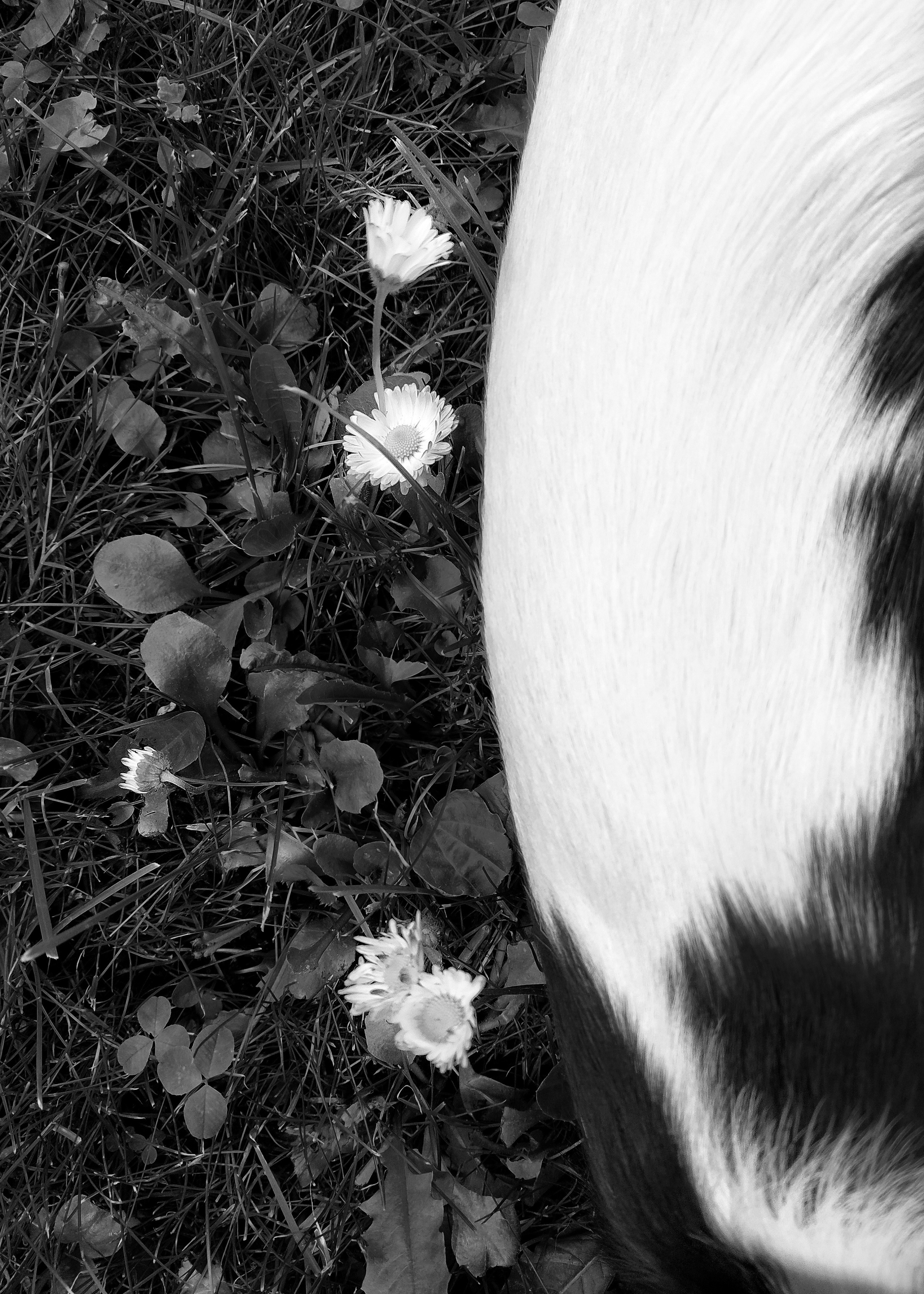 Бесшумная фотография. Tatyana Mazok творческий фотограф в Минске