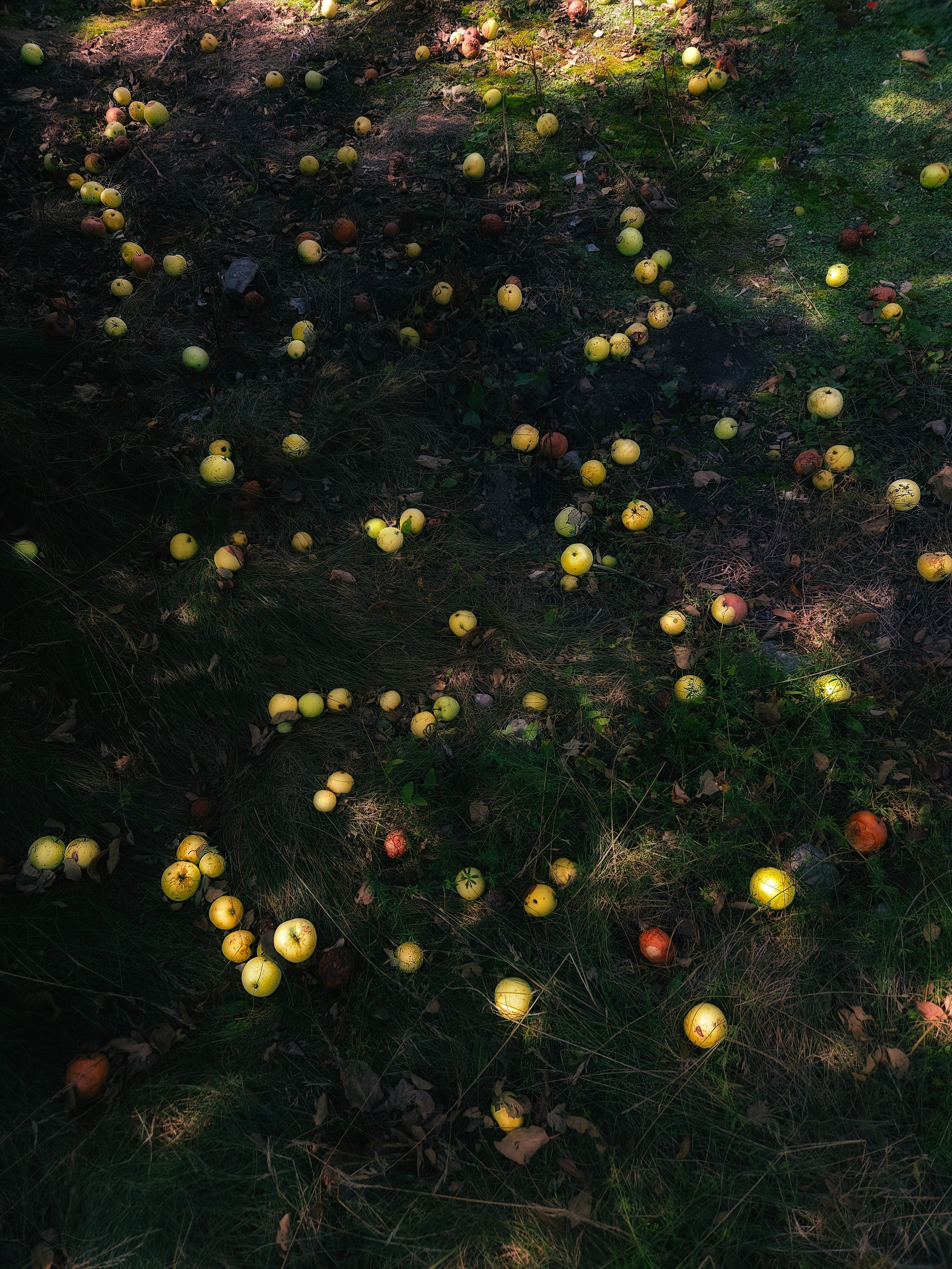 Бесшумная фотография. Tatyana Mazok творческий фотограф в Минске