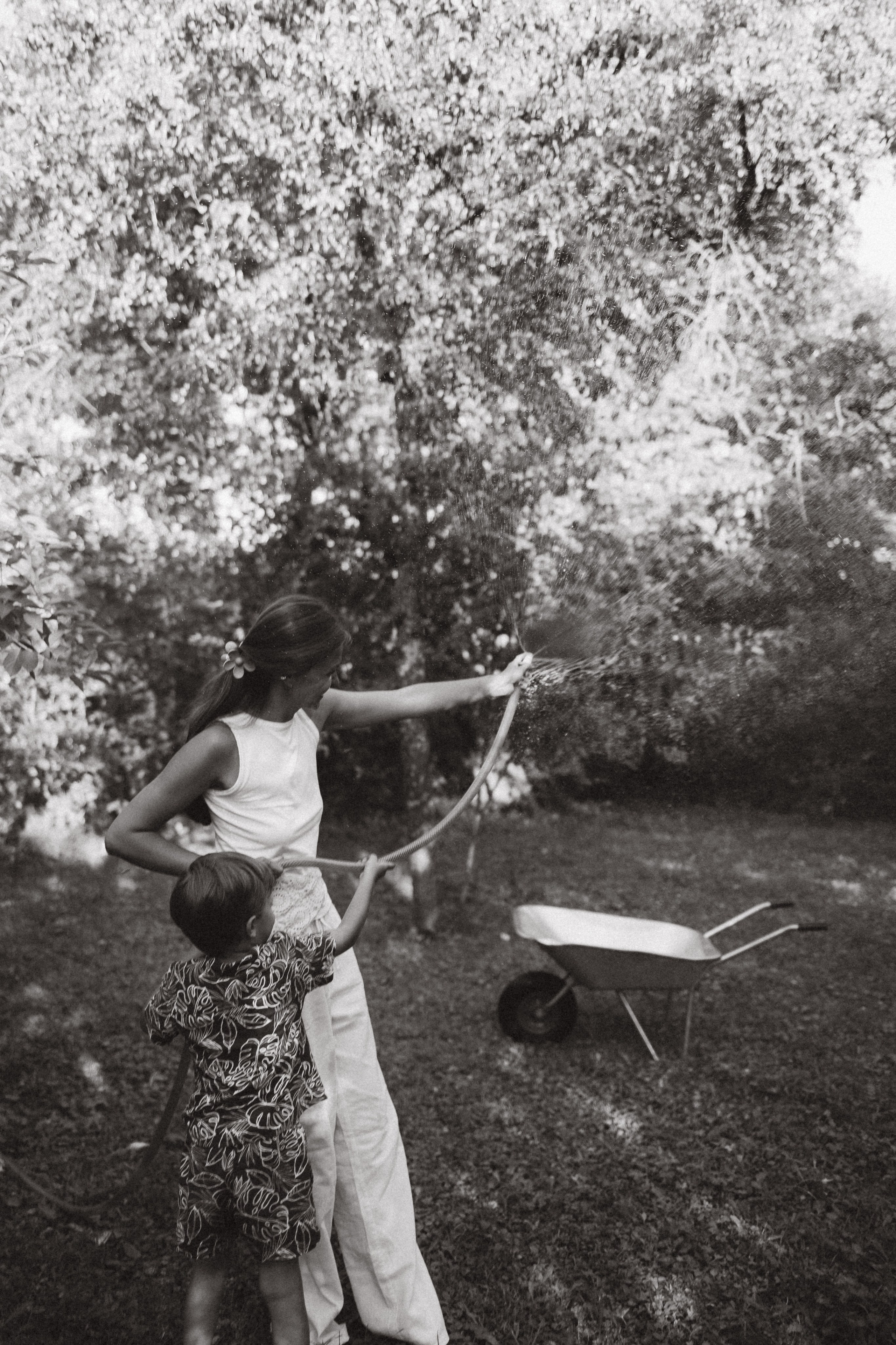 Дачная история. Фотограф в Иваново и Суздале