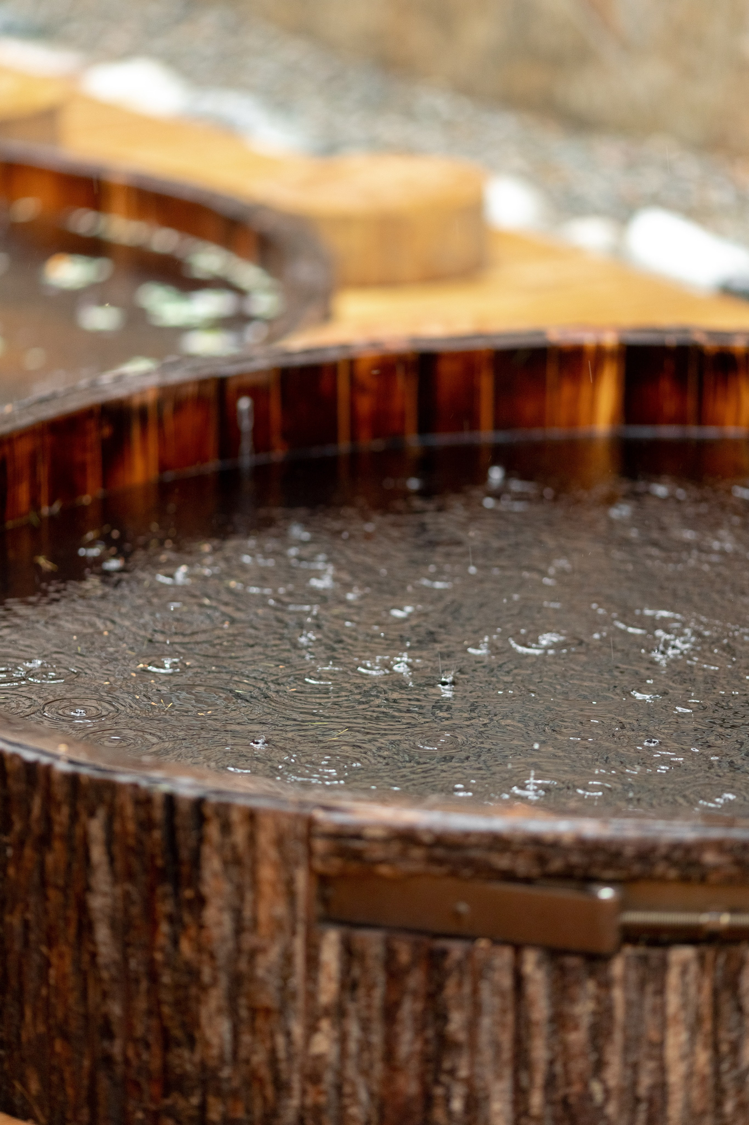 Кавказ Пар. Главная