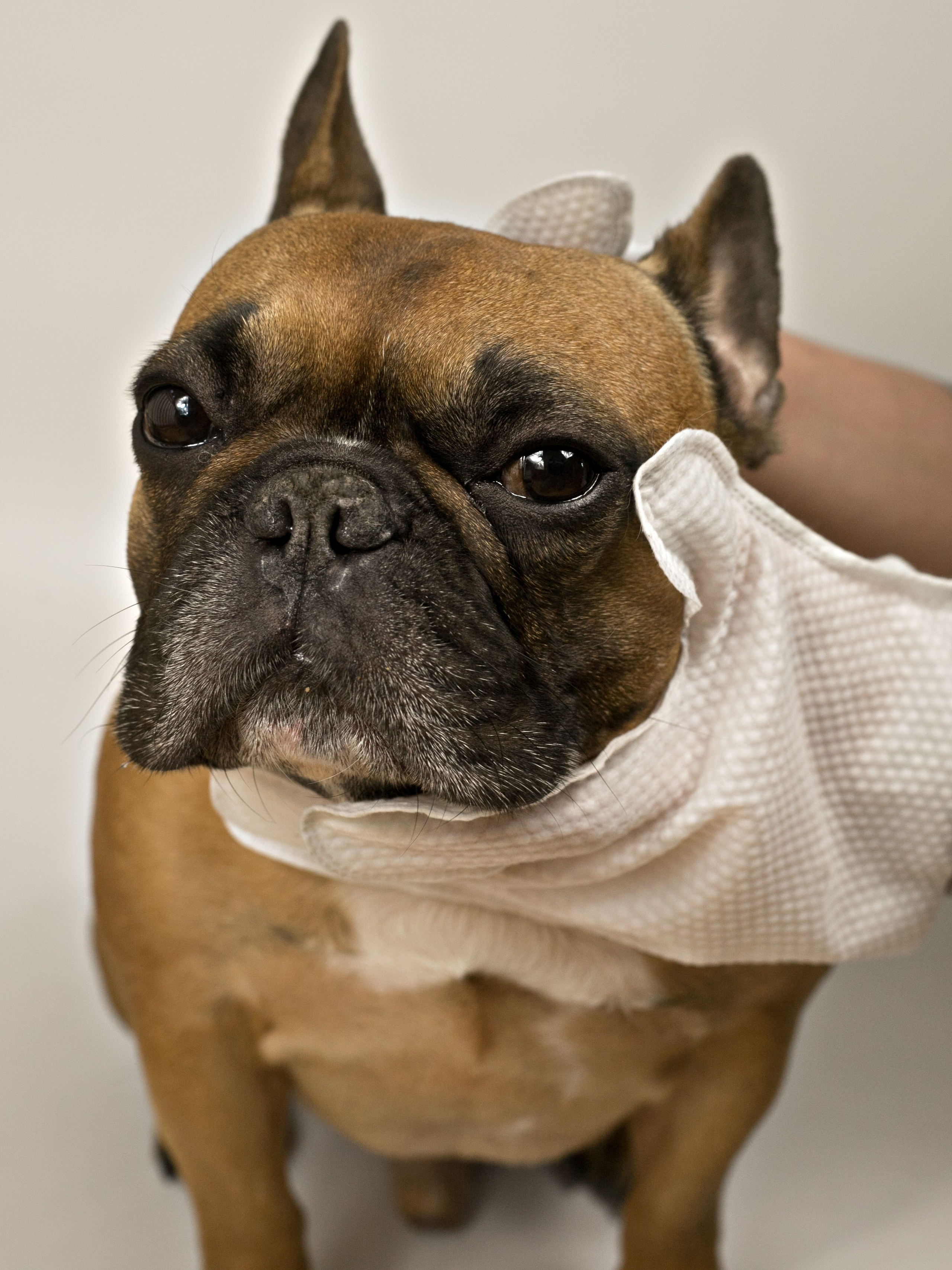 Фотосессия. Профессиональный фотограф в Москве