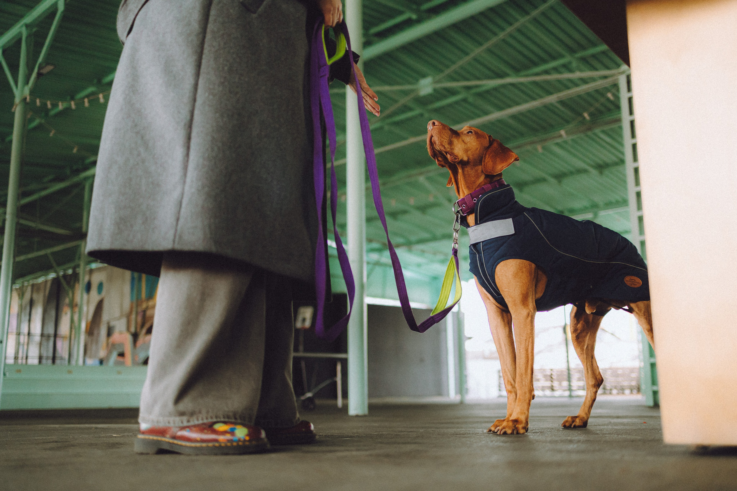 Екатерина и Даня