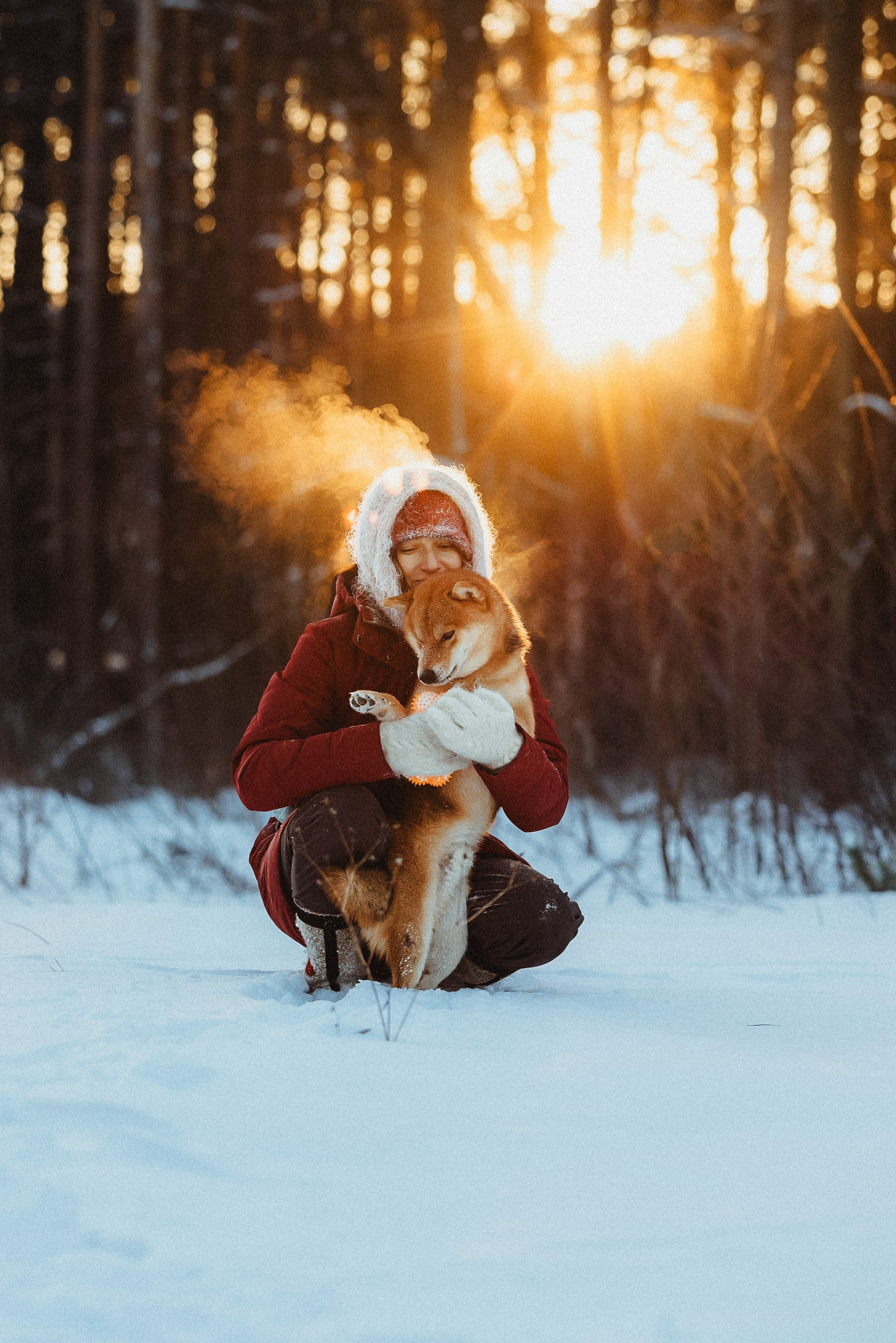 Шед, Цири и Ира