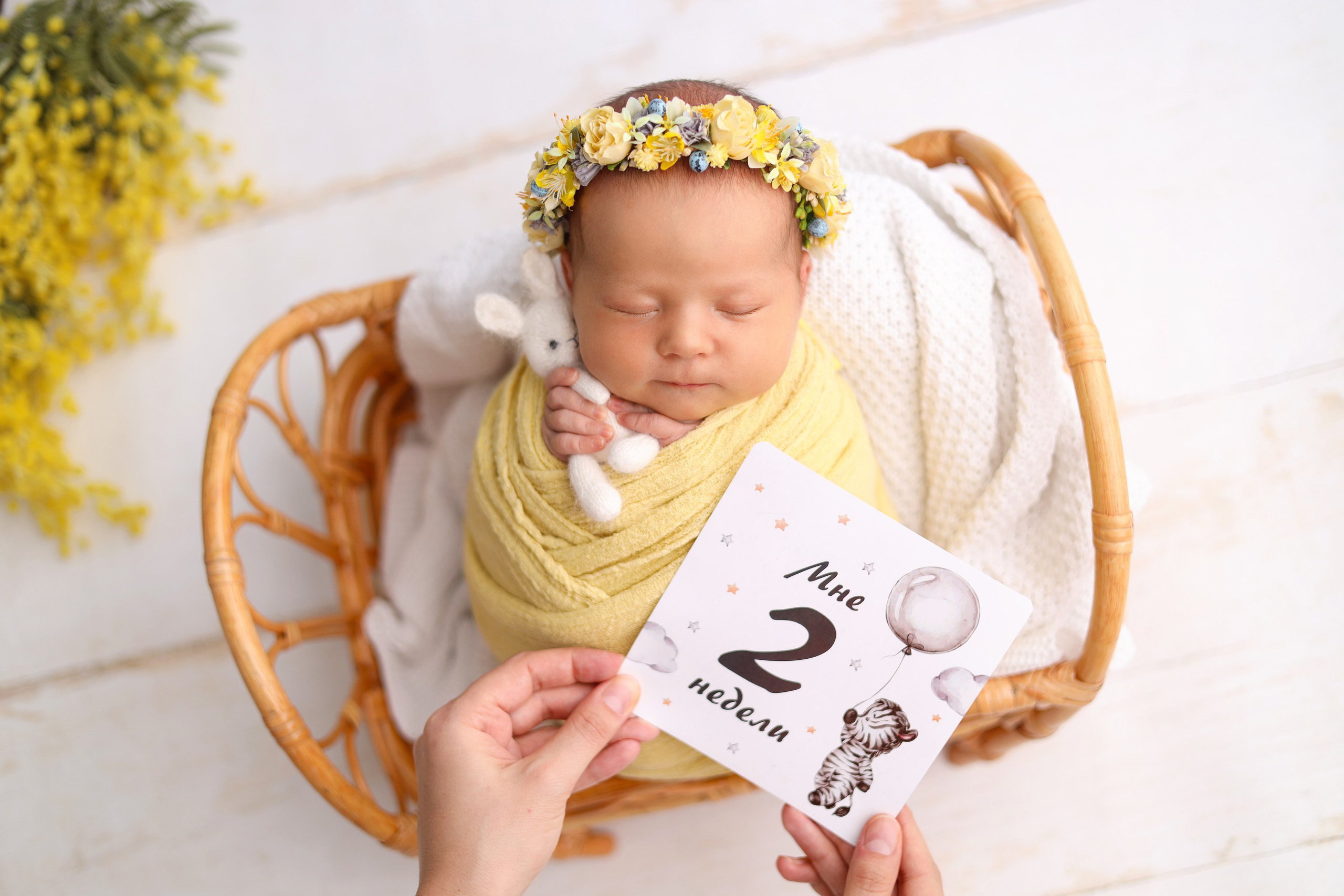 Ньюборн съемка Авроры, максимальный пакет. Фотограф новорожденных Москва. Ньюборн фотограф Москва