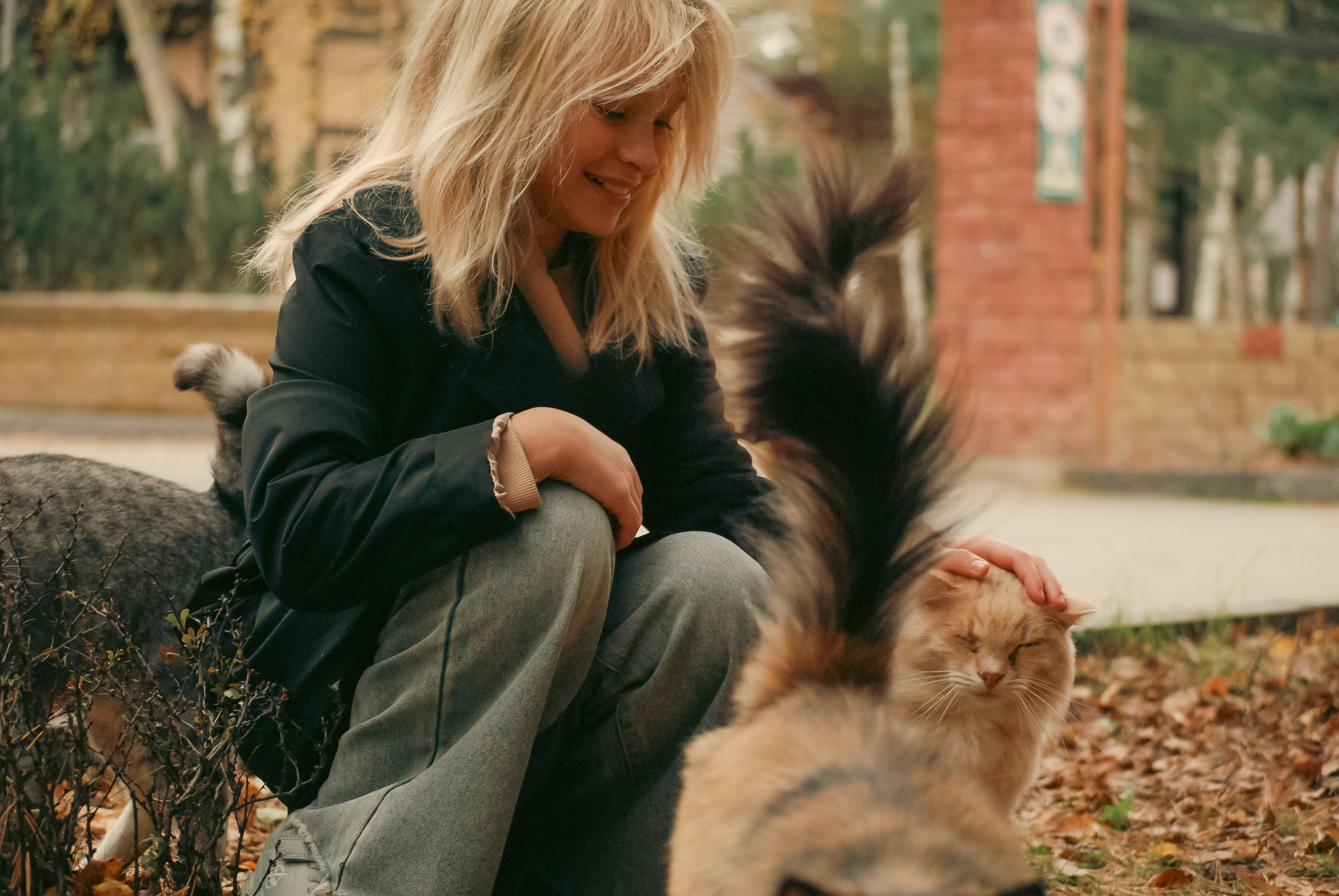 Московская область.Осенняя фотопрогулка. Арина. Индивидуальная и Семейная Фотосъёмка для каждого