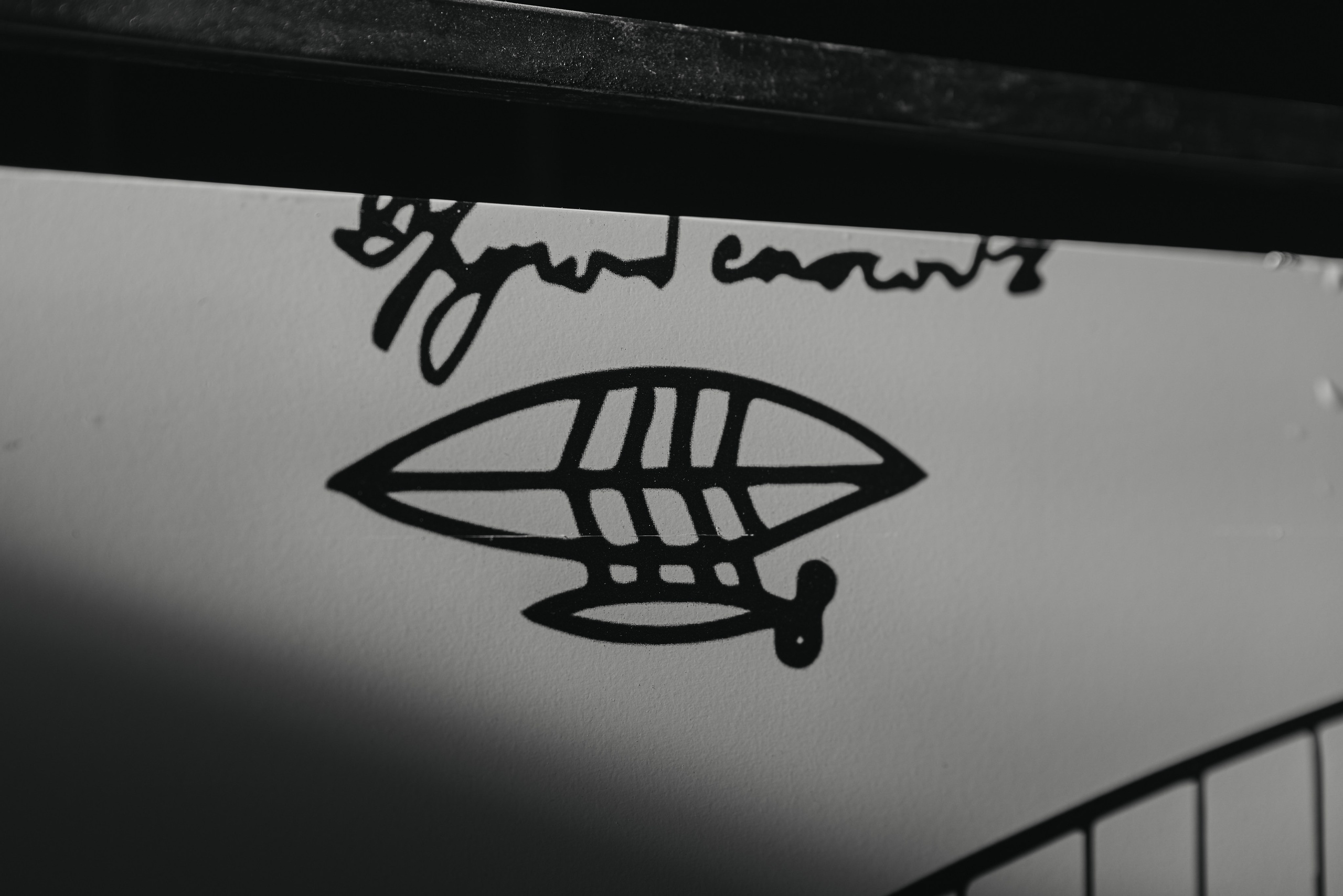 «Я вижу звезды» (второй показ)