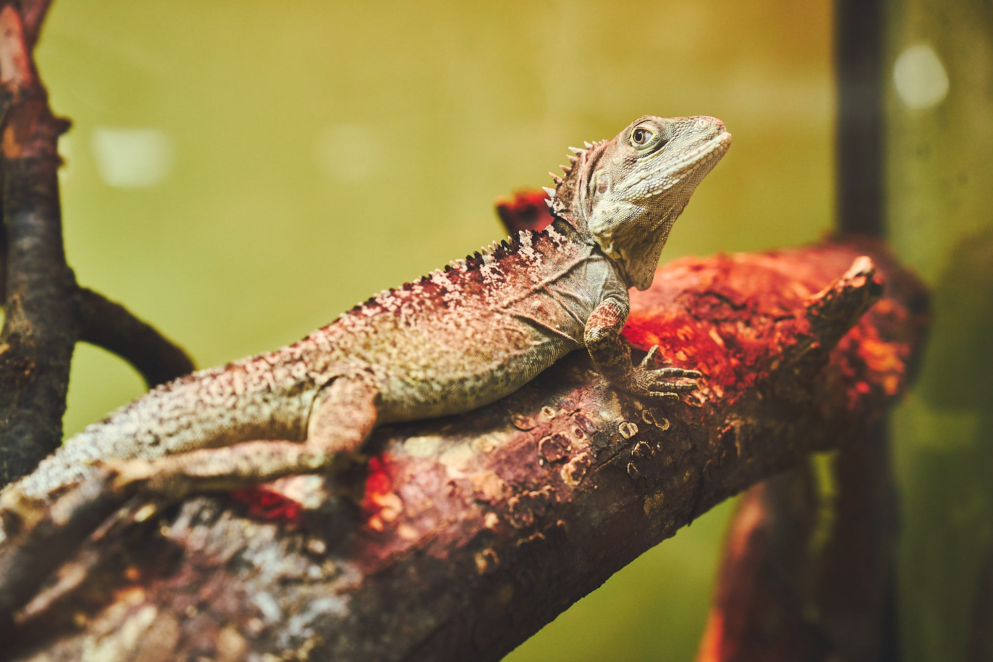 ZOO. ФОТОГРАФ ЕКАТЕРИНБУРГ