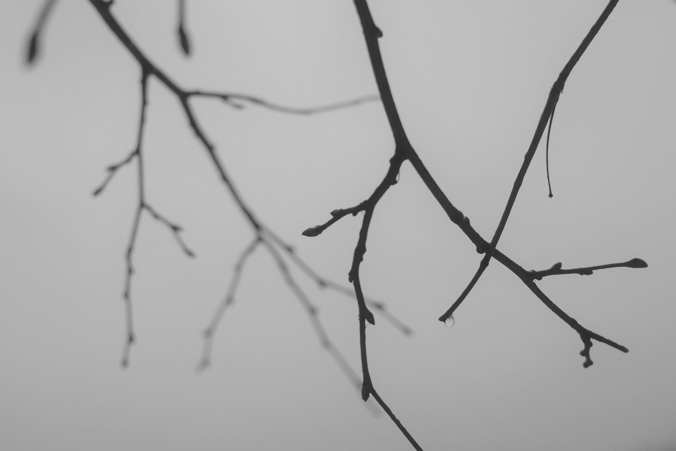 — 2025. Фотограф Злата Спицына