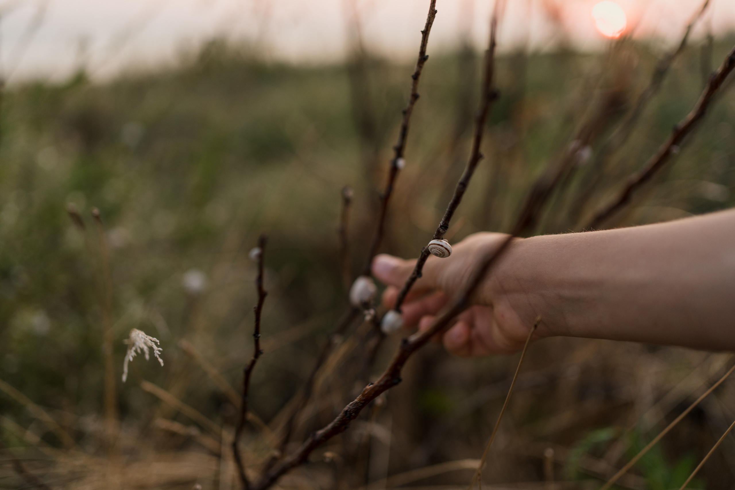 Смотри, медуза. Свадебный фотограф в Краснодаре и Сочи Винидиктова Екатерина