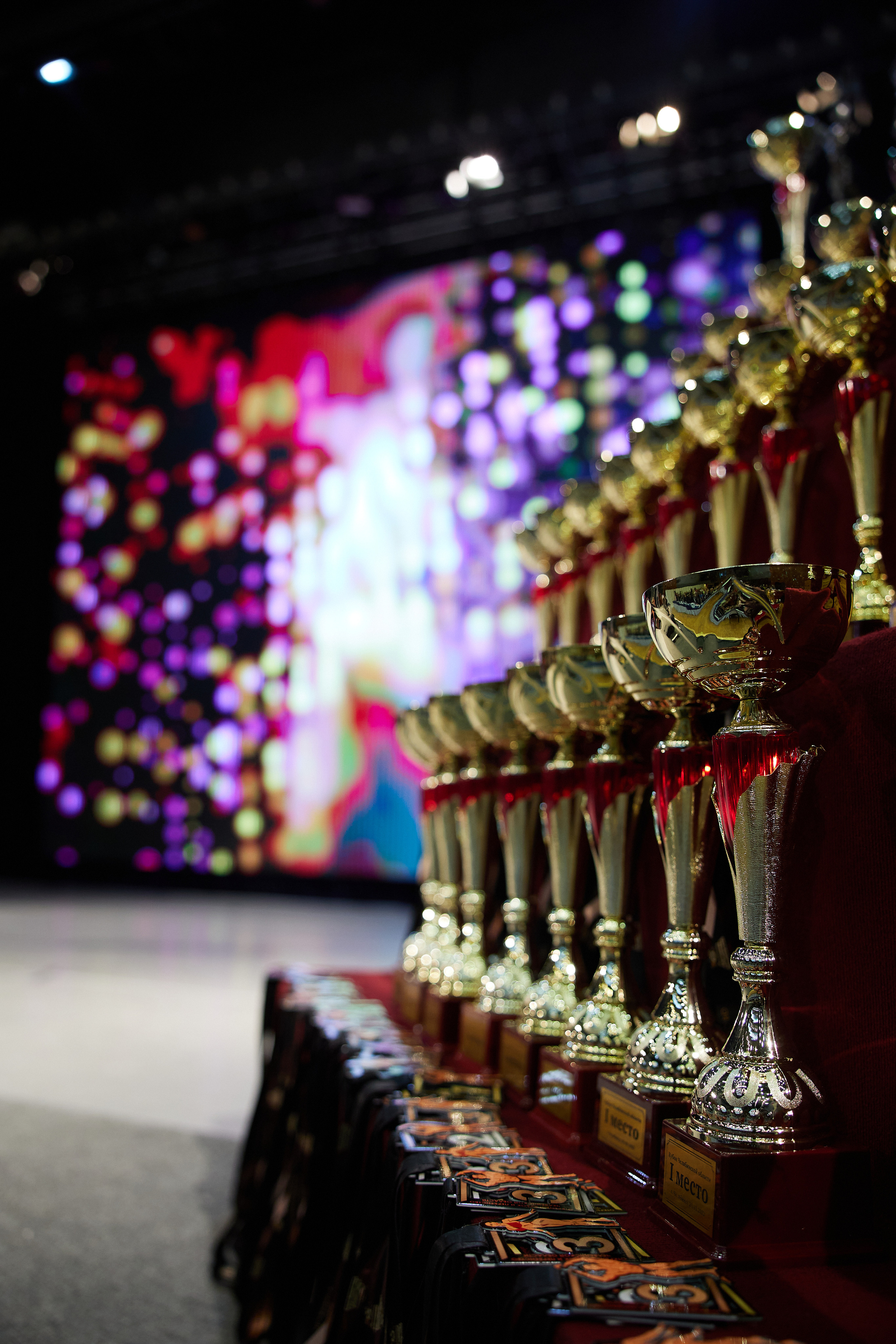 Открытый кубок первенства по челябинской области по бодибилдингу