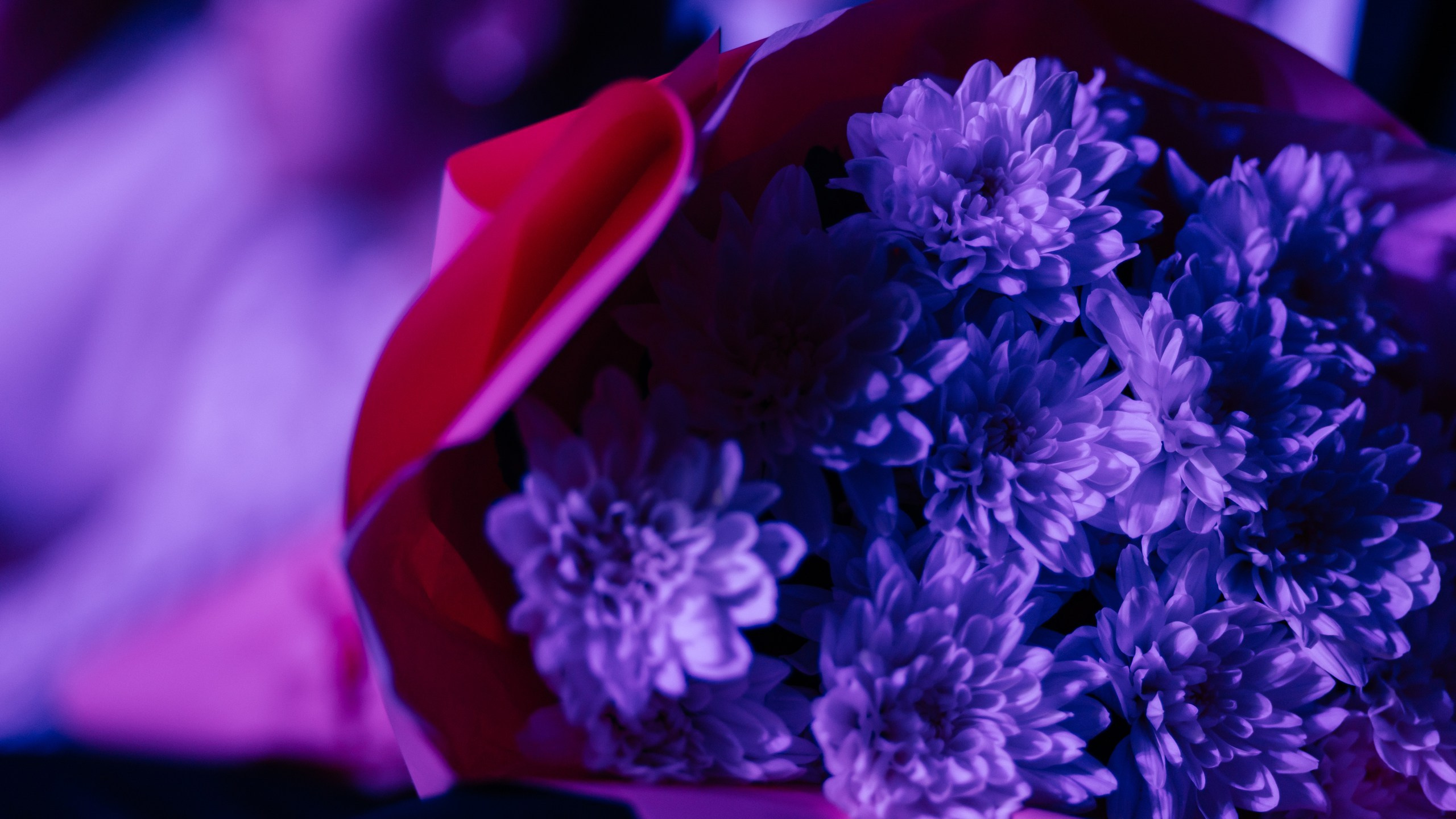 Проект 3. 15 летие Самрук Казына. Дата: октябрь 2023. Профессиональный фотограф в городе Астана/Алматы Даурен Сембаев