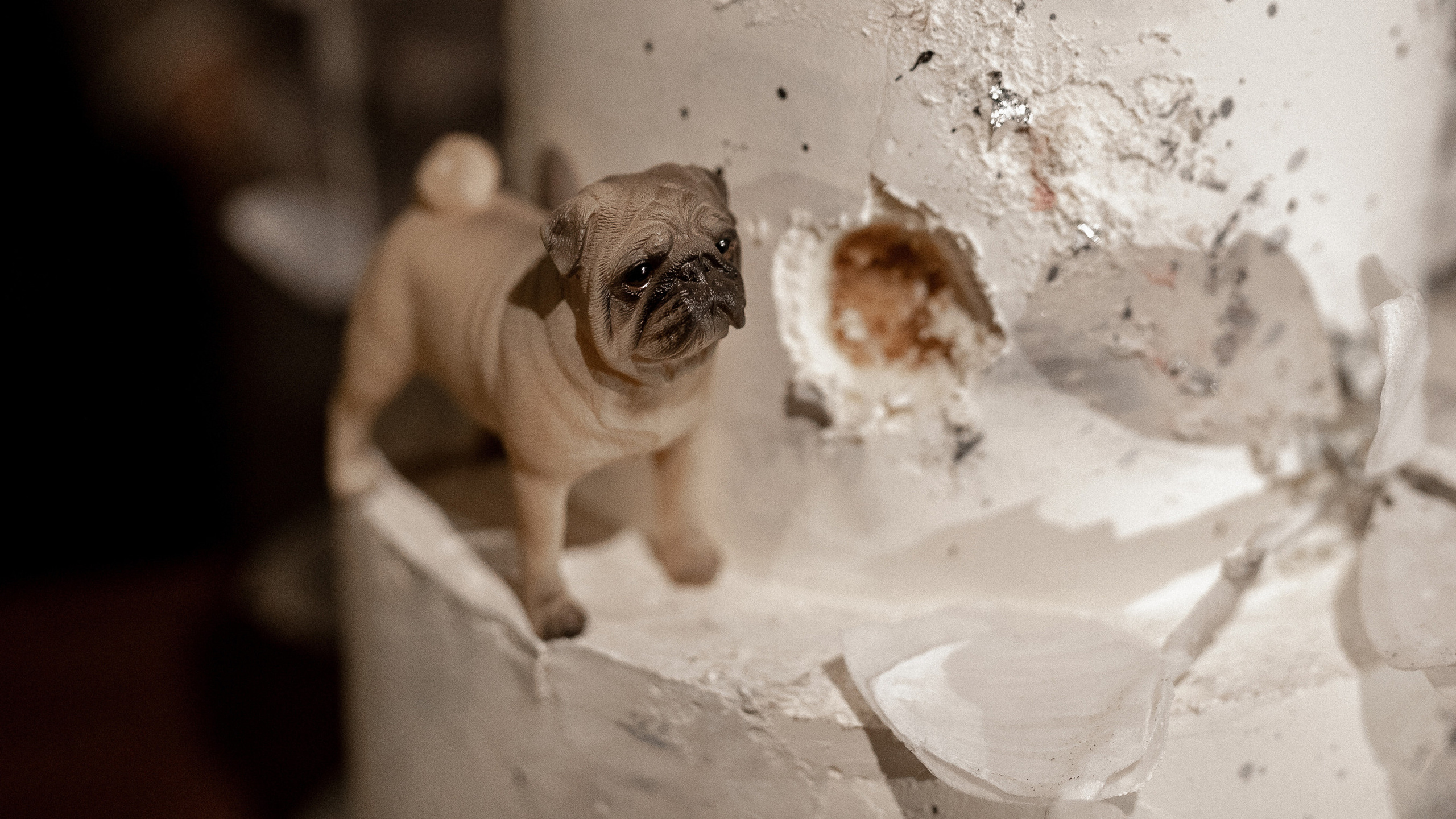 Мопс на торте. Свадебный фотограф Ярославль, Рыбинск