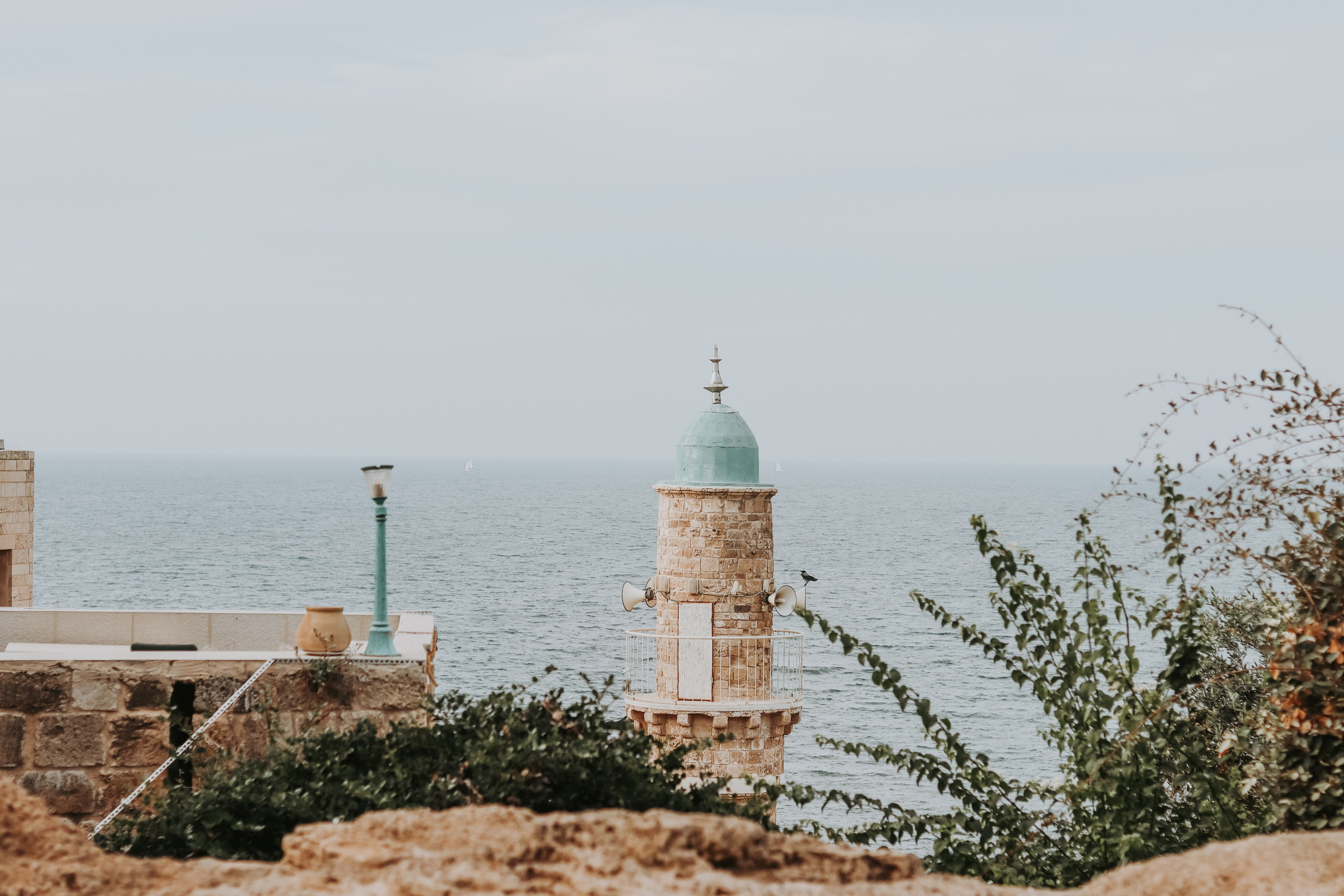 Charity walk in Jaffa, Tel Aviv 2023. Photographer in Israel Alice Milchin