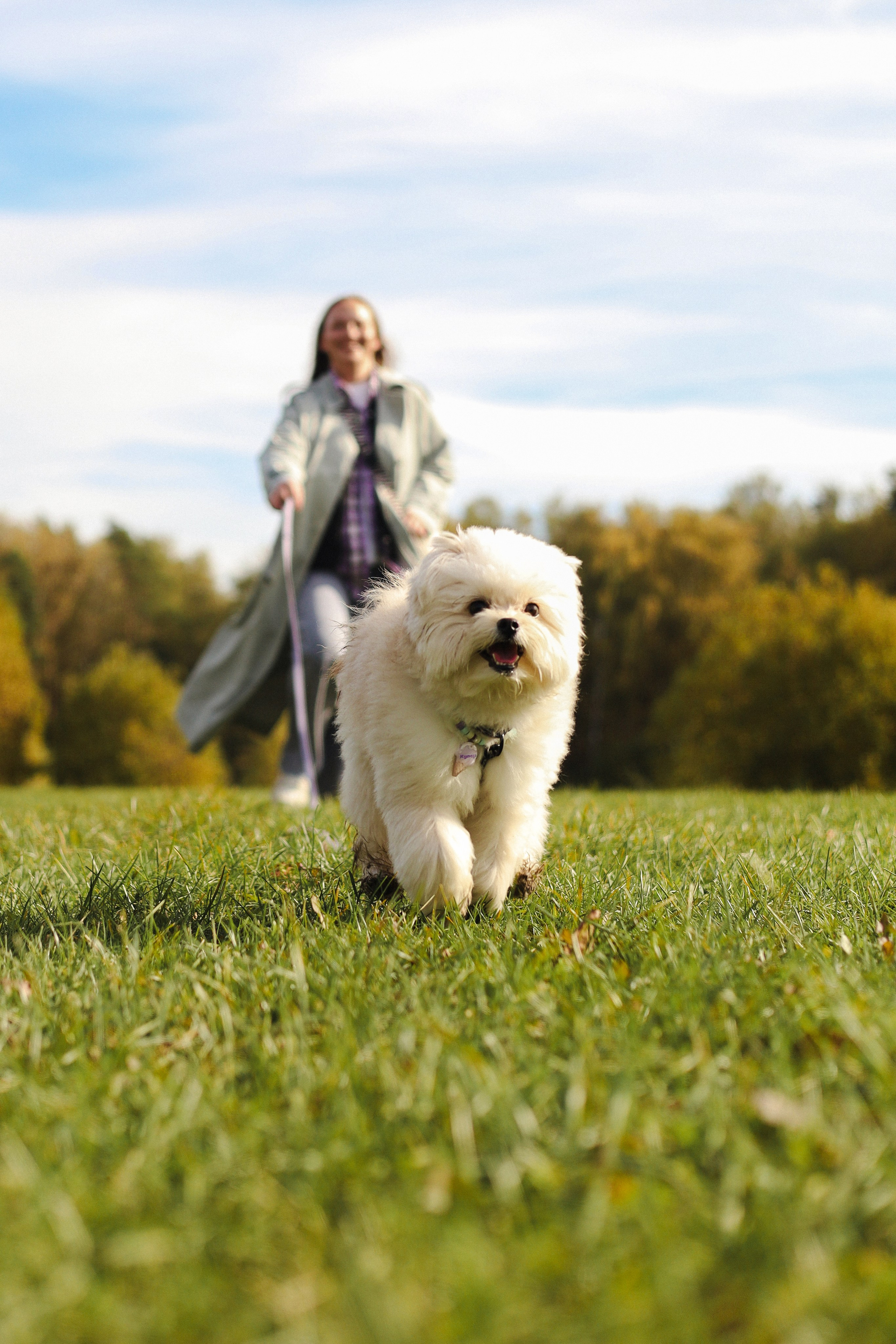 Купер и Надежда. Фотограф-анималист Ксения Шевцова|Москва