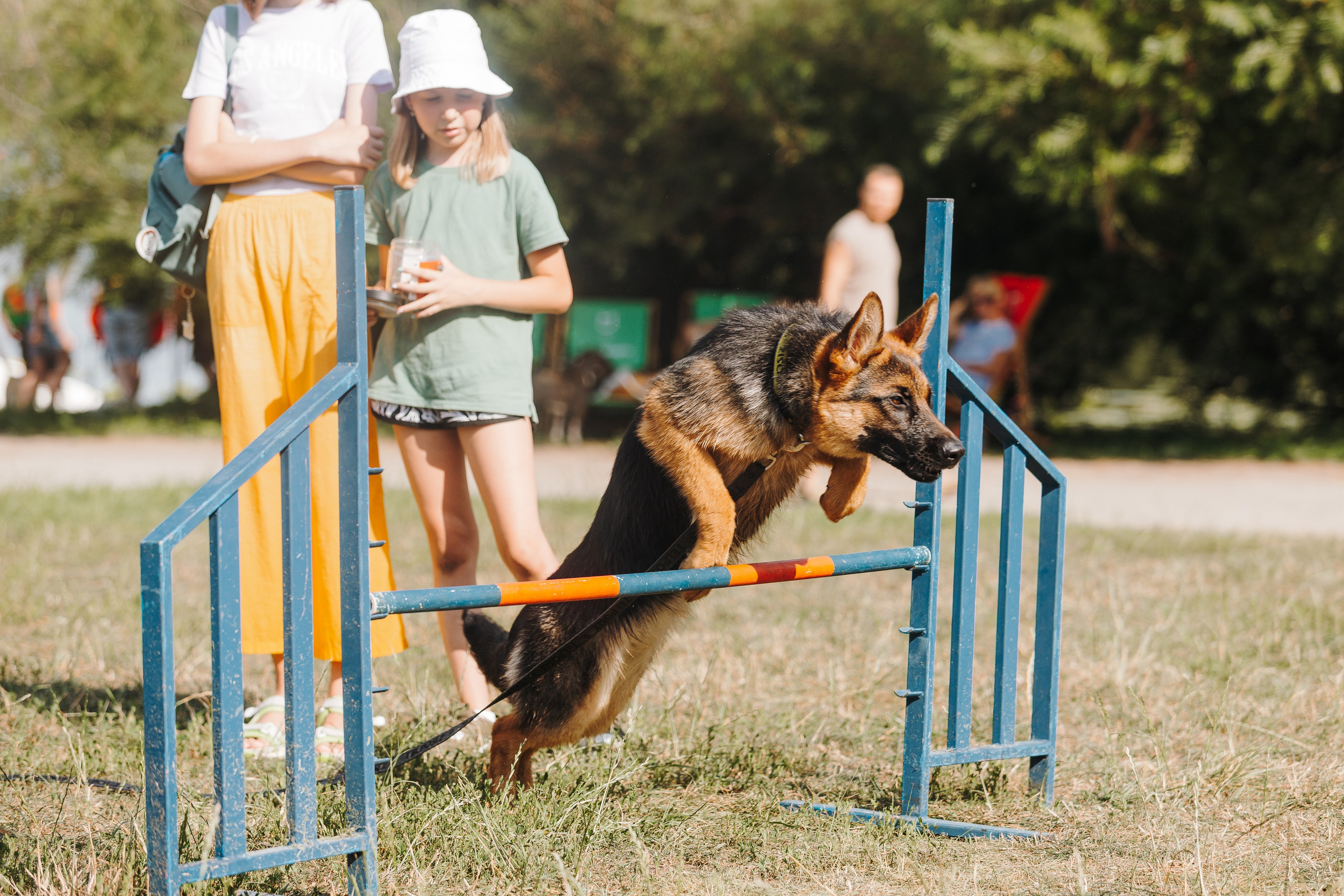 Petshop Sup day. Фотограф анималист Кристина Карпова, Москва