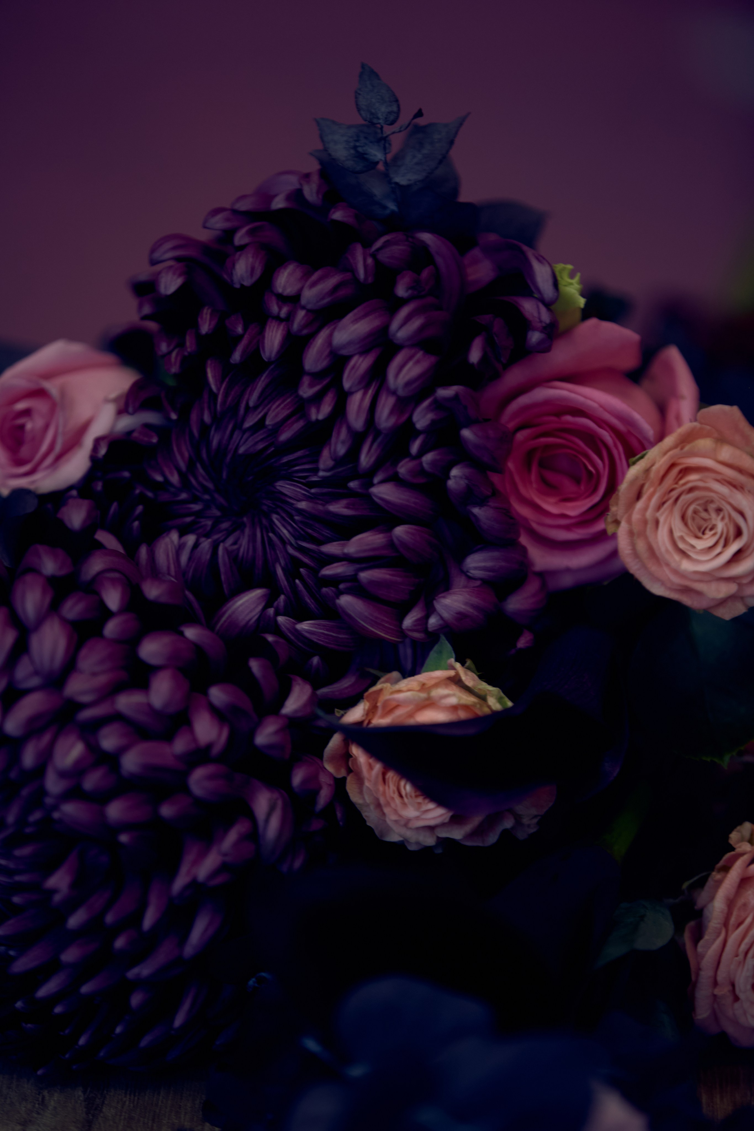 ART-HAOS. Фотограф видеограф в Москве и Московской области Саша Секрет