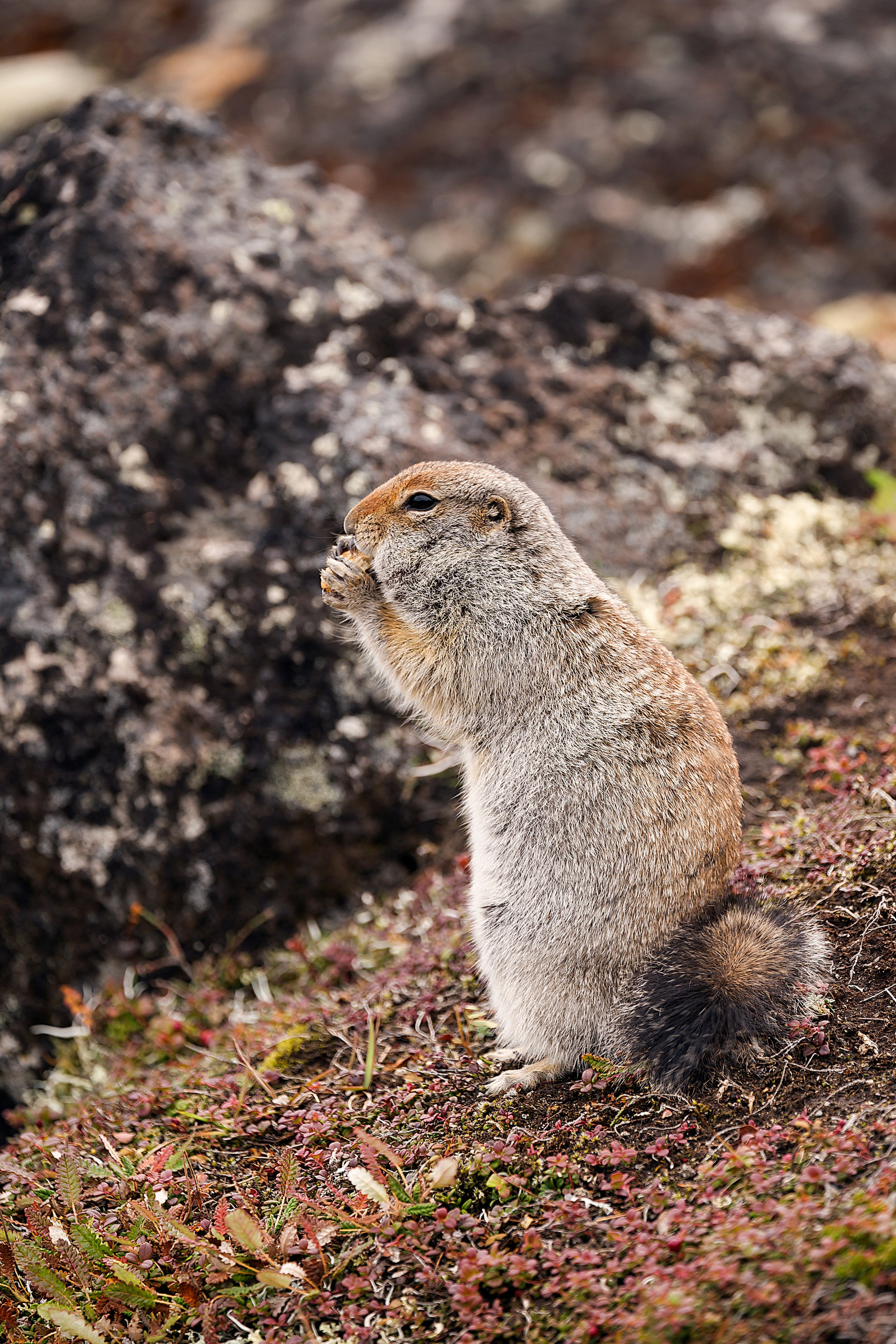 Камчатка. Портретный фотограф в Челябинске Катерина Руди