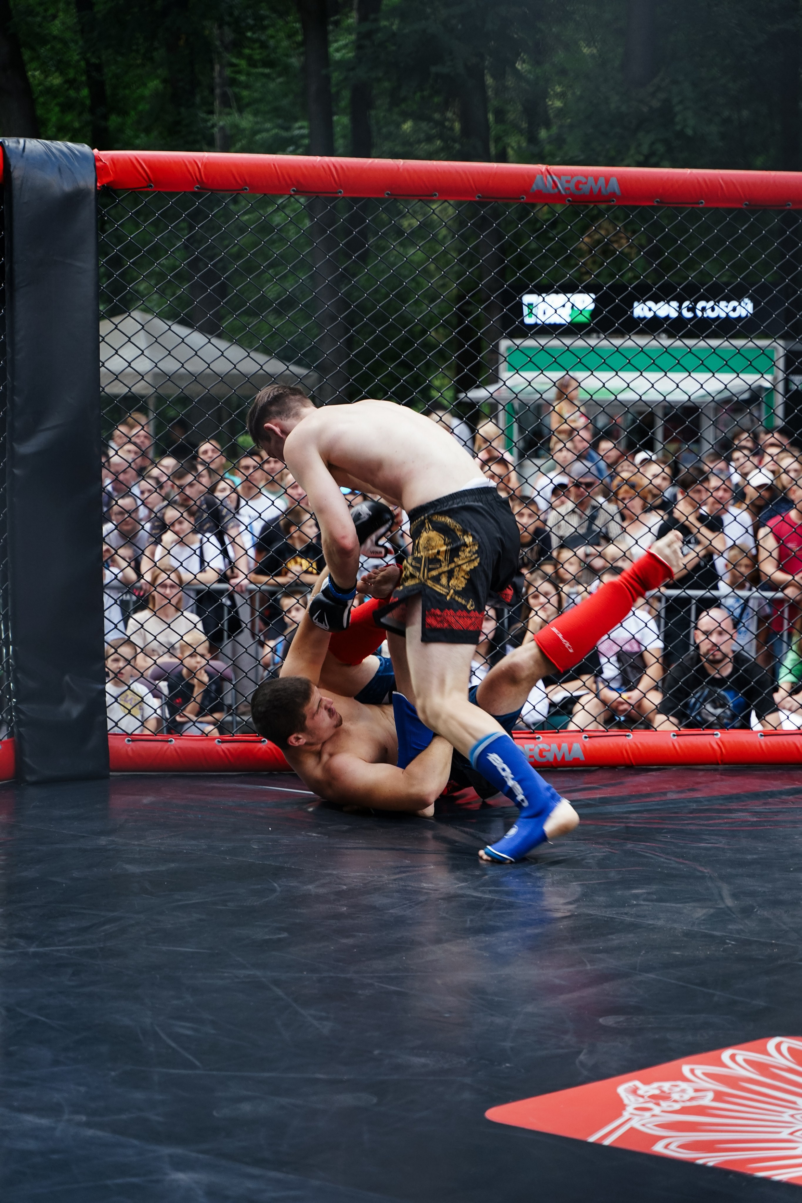 Вечер боев в ЦПКиО. Фотограф Надежда Погребняк | Рязань | Москва