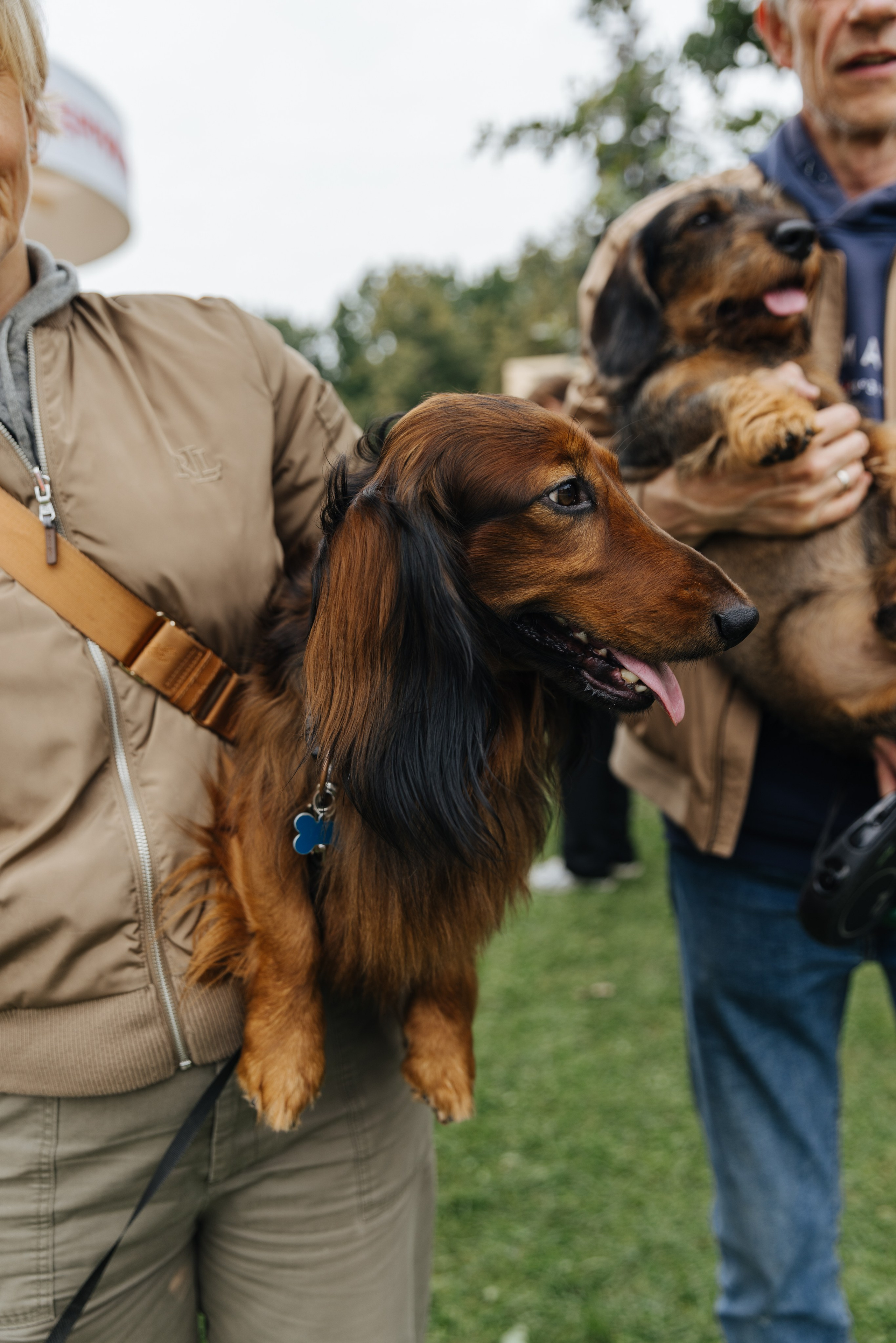 Хвостатый репортаж. Аксана Лисовская фотограф в Москве. Фотографии с характером