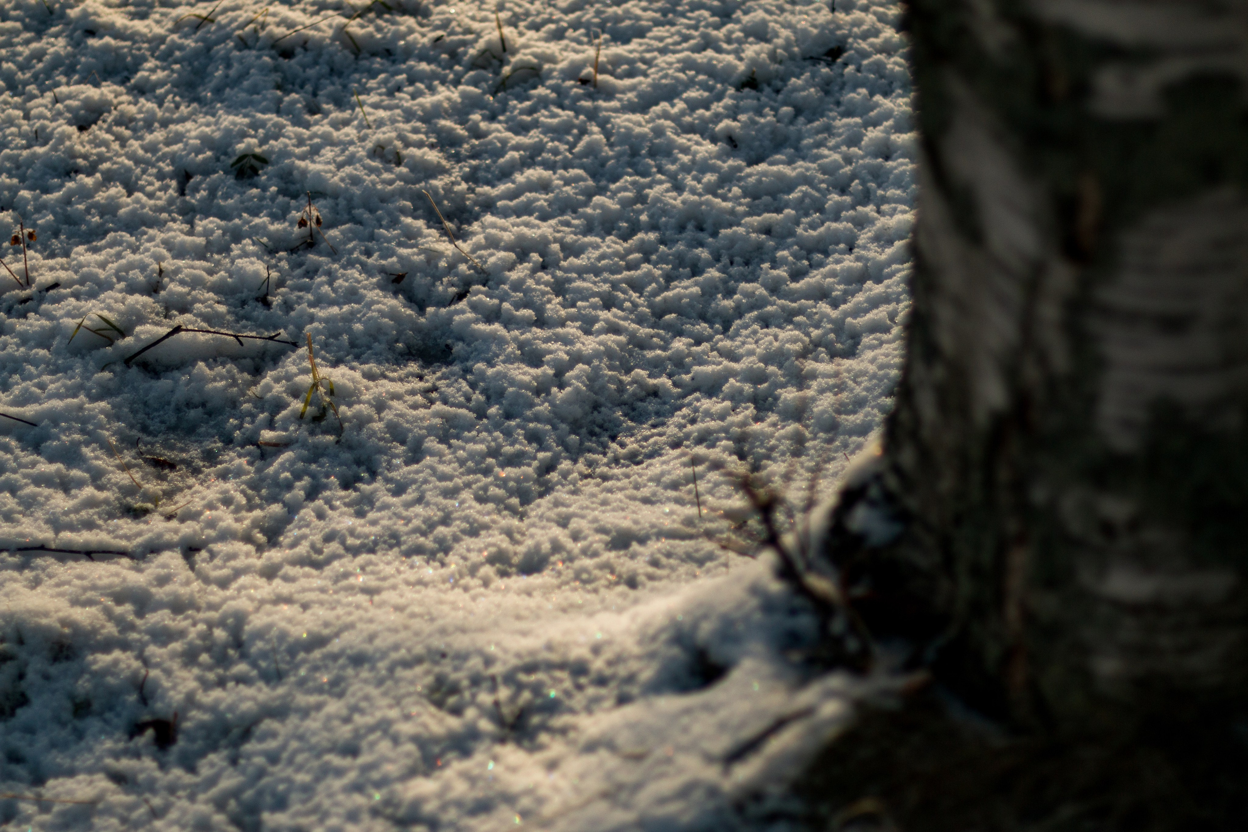 Русский Север, Малые карелы. Фотограф в Сочи