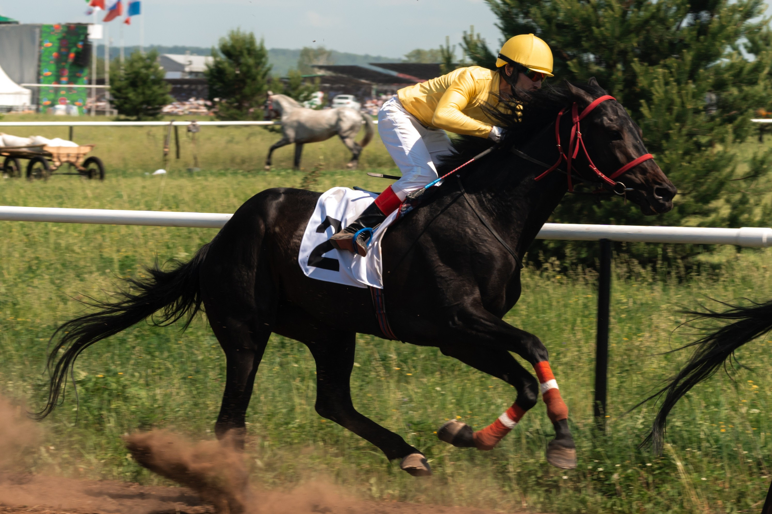 Фотографии с Всероссийских соревнований по көрәш