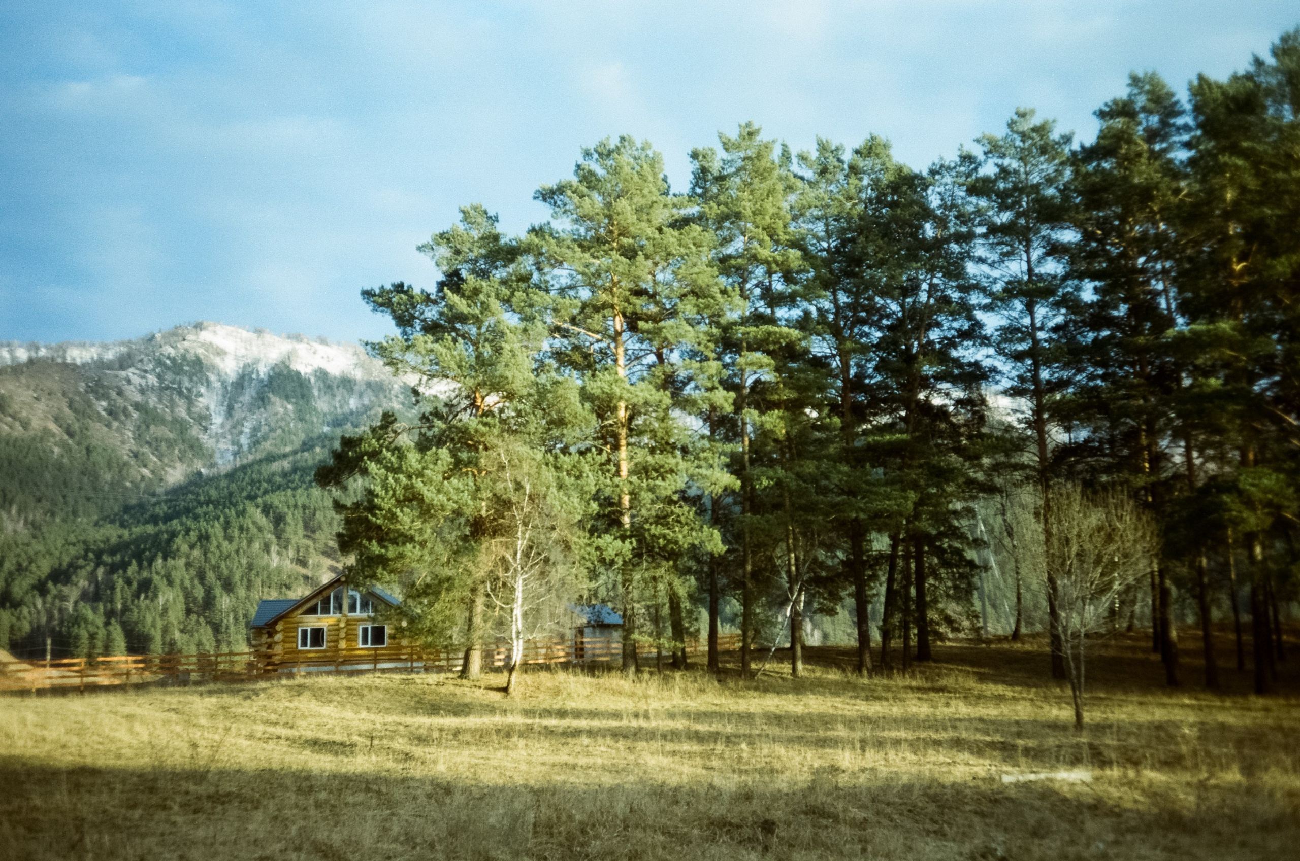 Горно-лыжный курорт Манжерок / 22 декабря 2023 года (0℃)