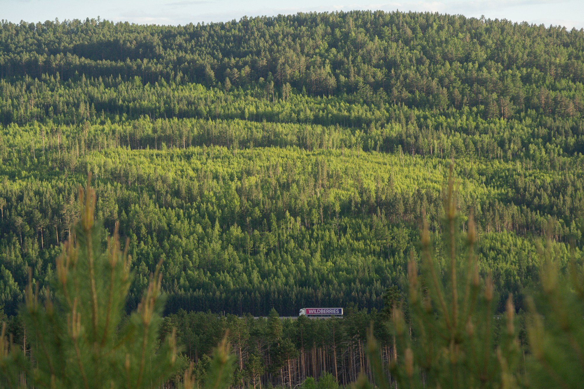 Разное. Репортажный фотограф г. Чита