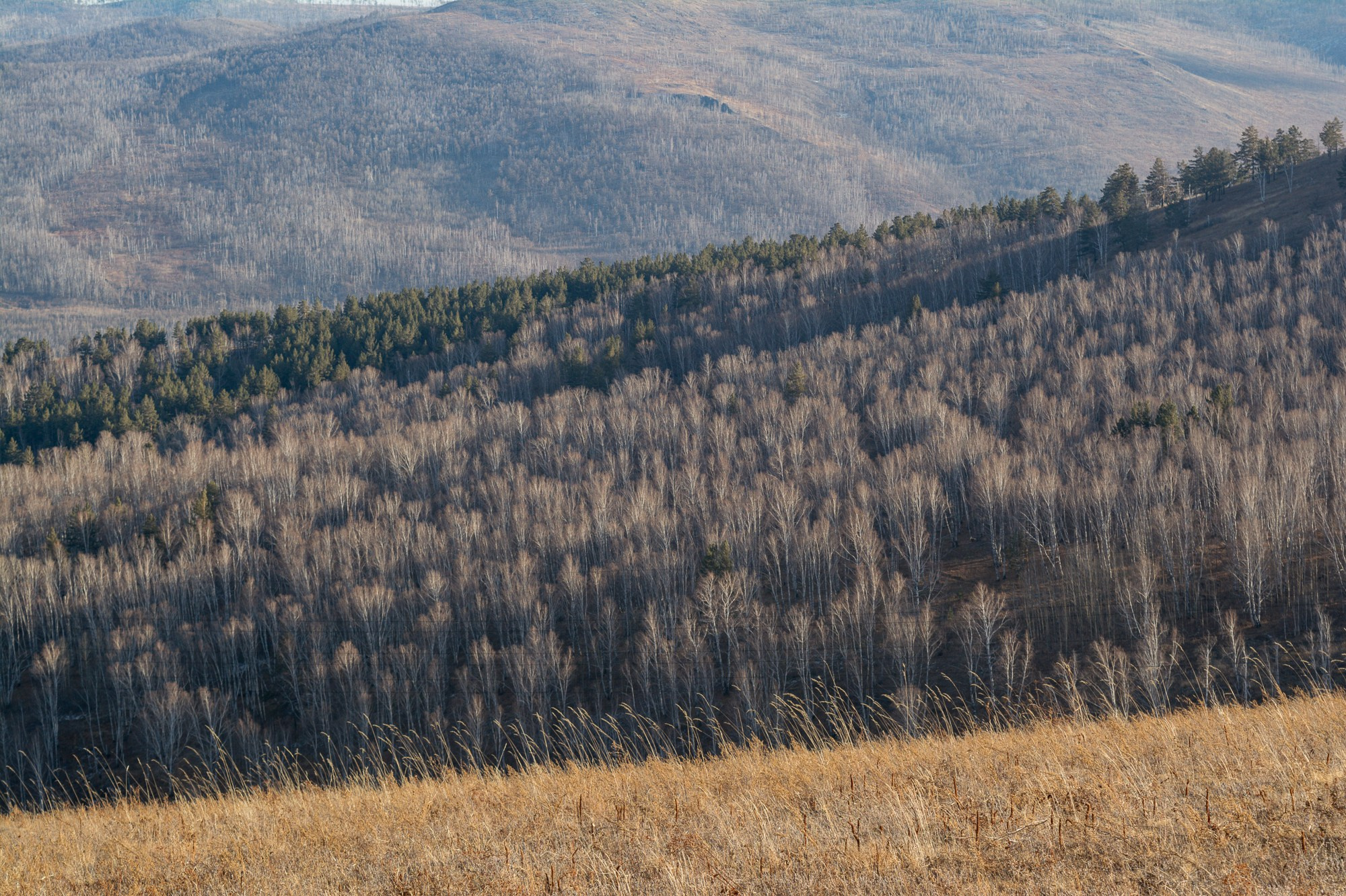 Разное. Репортажный фотограф г. Чита