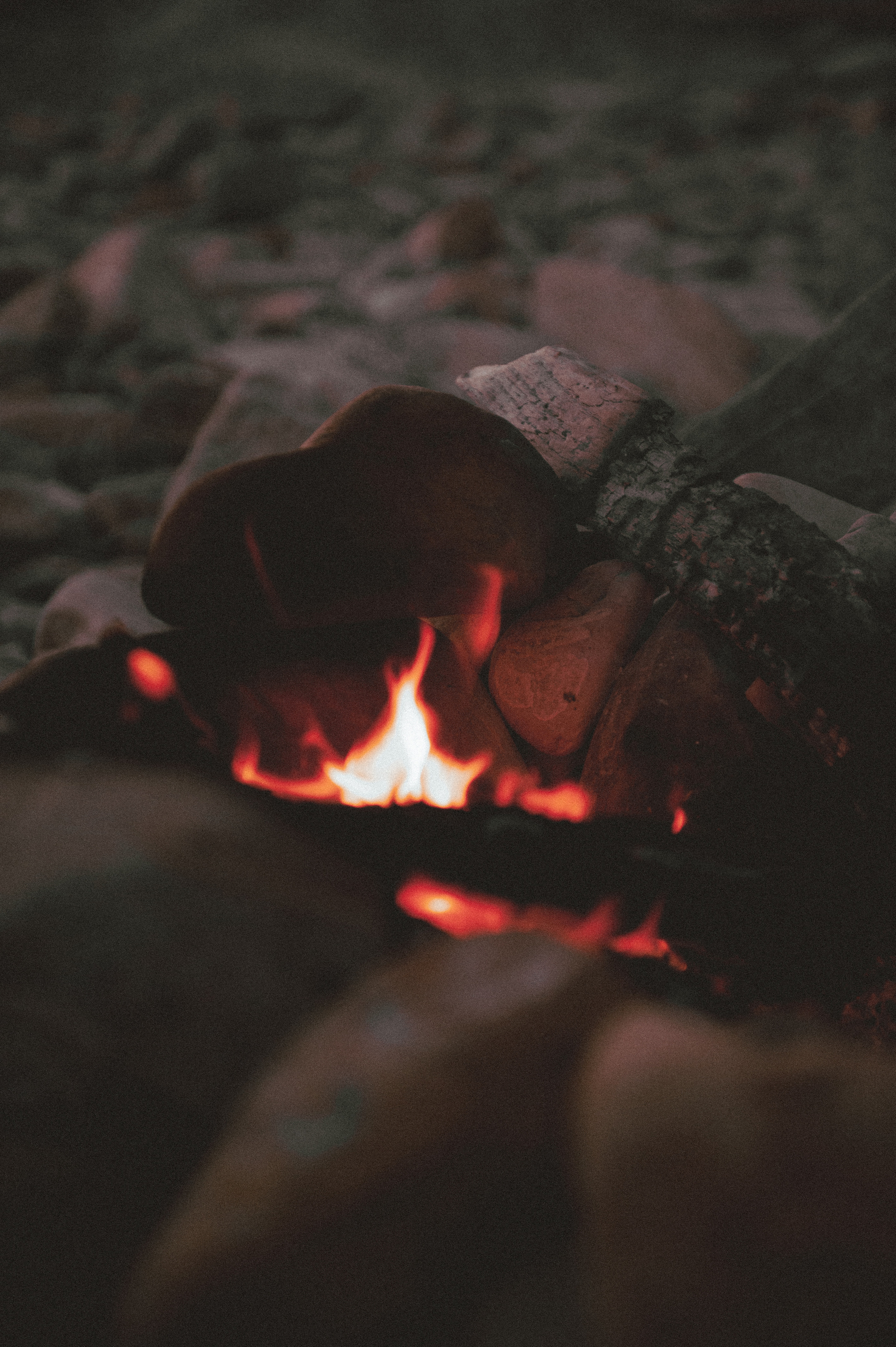 День стейка 2023 étude. Фотограф Санкт-Петербург, Новороссийск