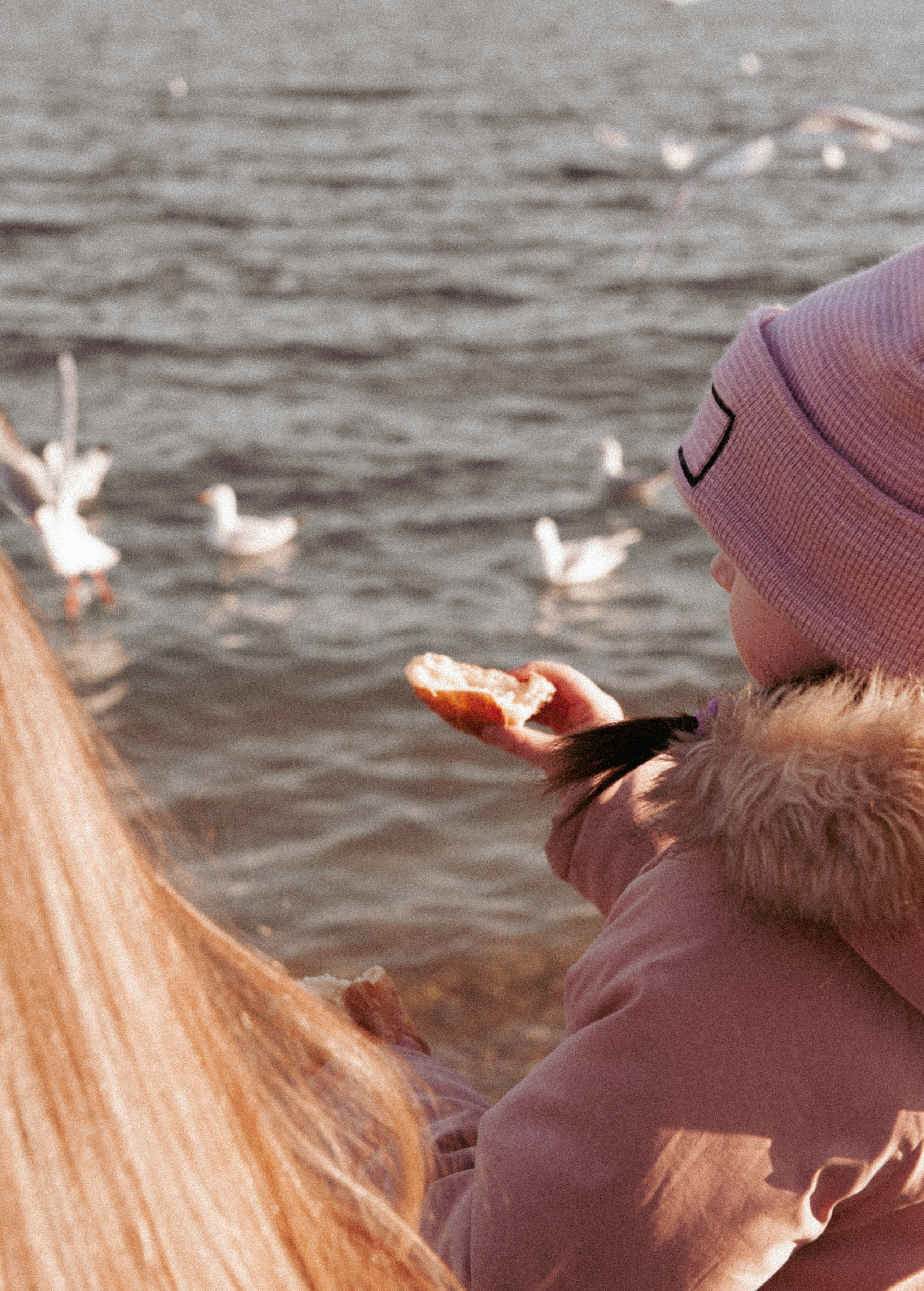 Happy Birthday Milana!. Фотограф Санкт-Петербург, Новороссийск