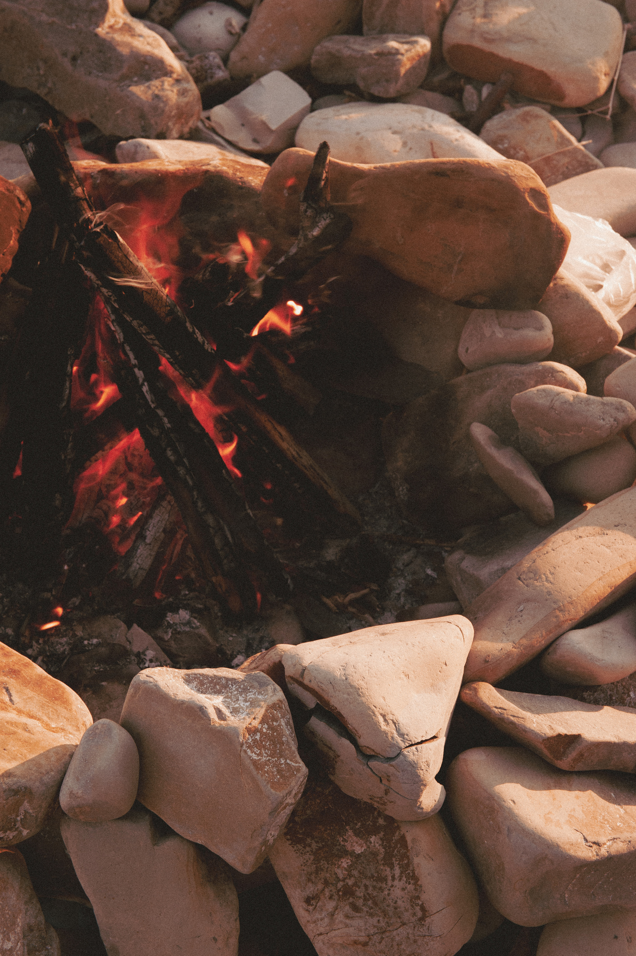 День стейка 2023 étude. Фотограф Санкт-Петербург, Новороссийск