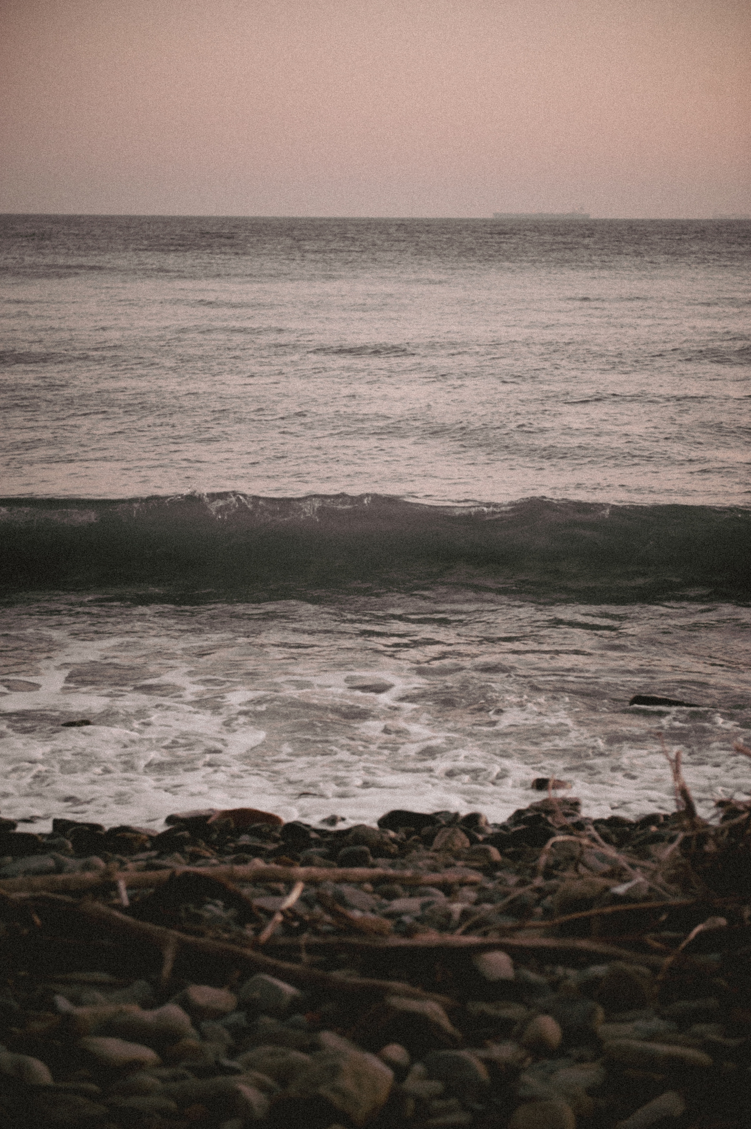 День стейка 2023 étude. Фотограф Санкт-Петербург, Новороссийск