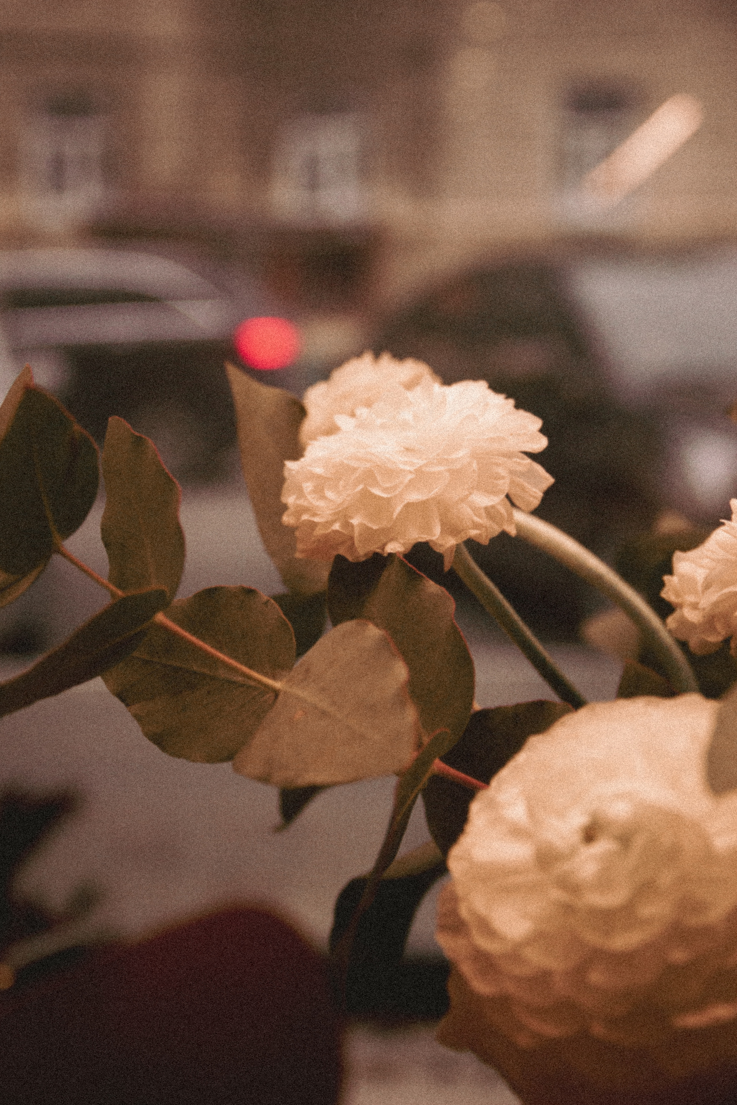 Уютным вечером в «Библиотека кофе». Фотограф Санкт-Петербург, Новороссийск