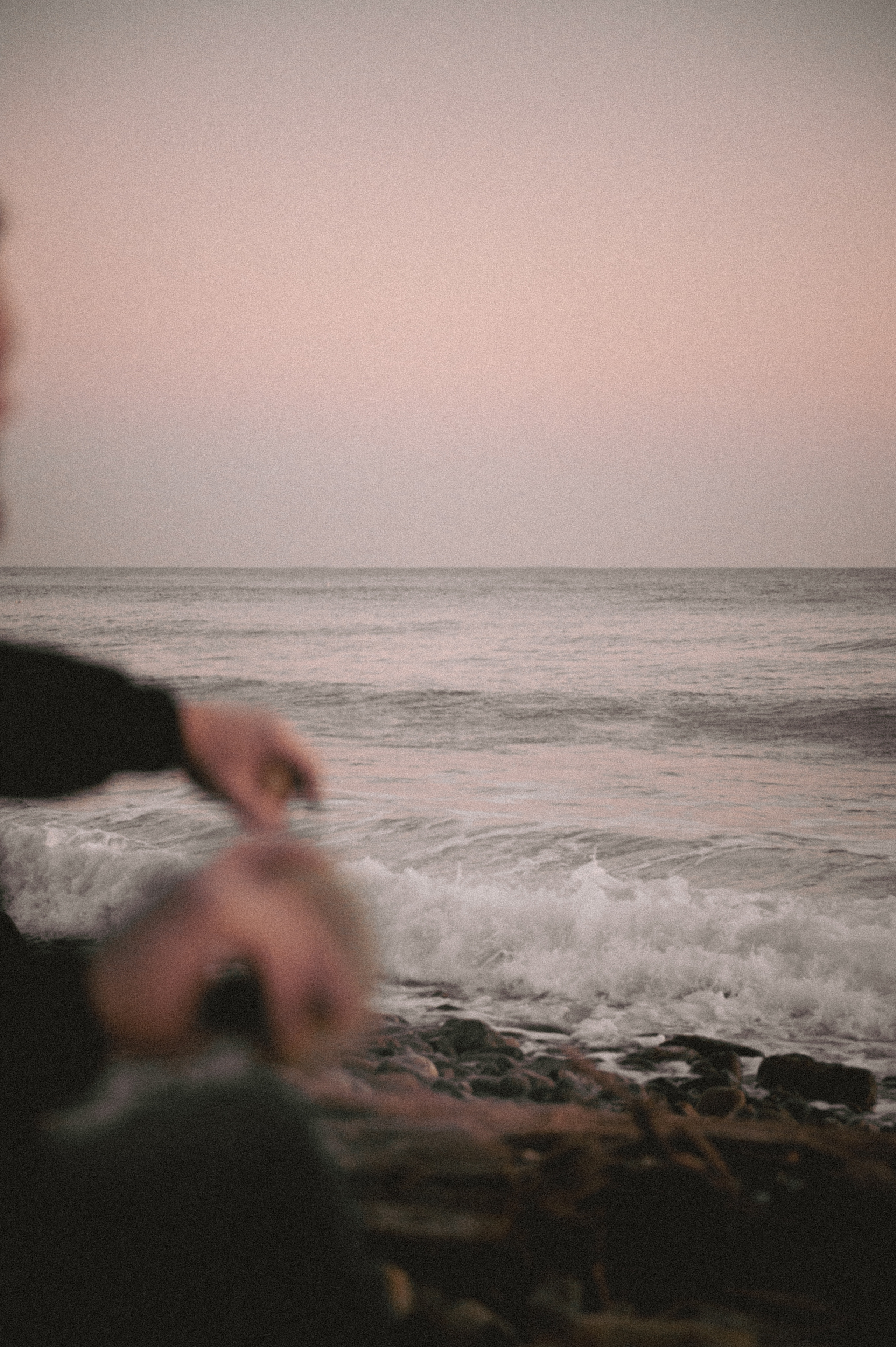 День стейка 2023 étude. Фотограф Санкт-Петербург, Новороссийск