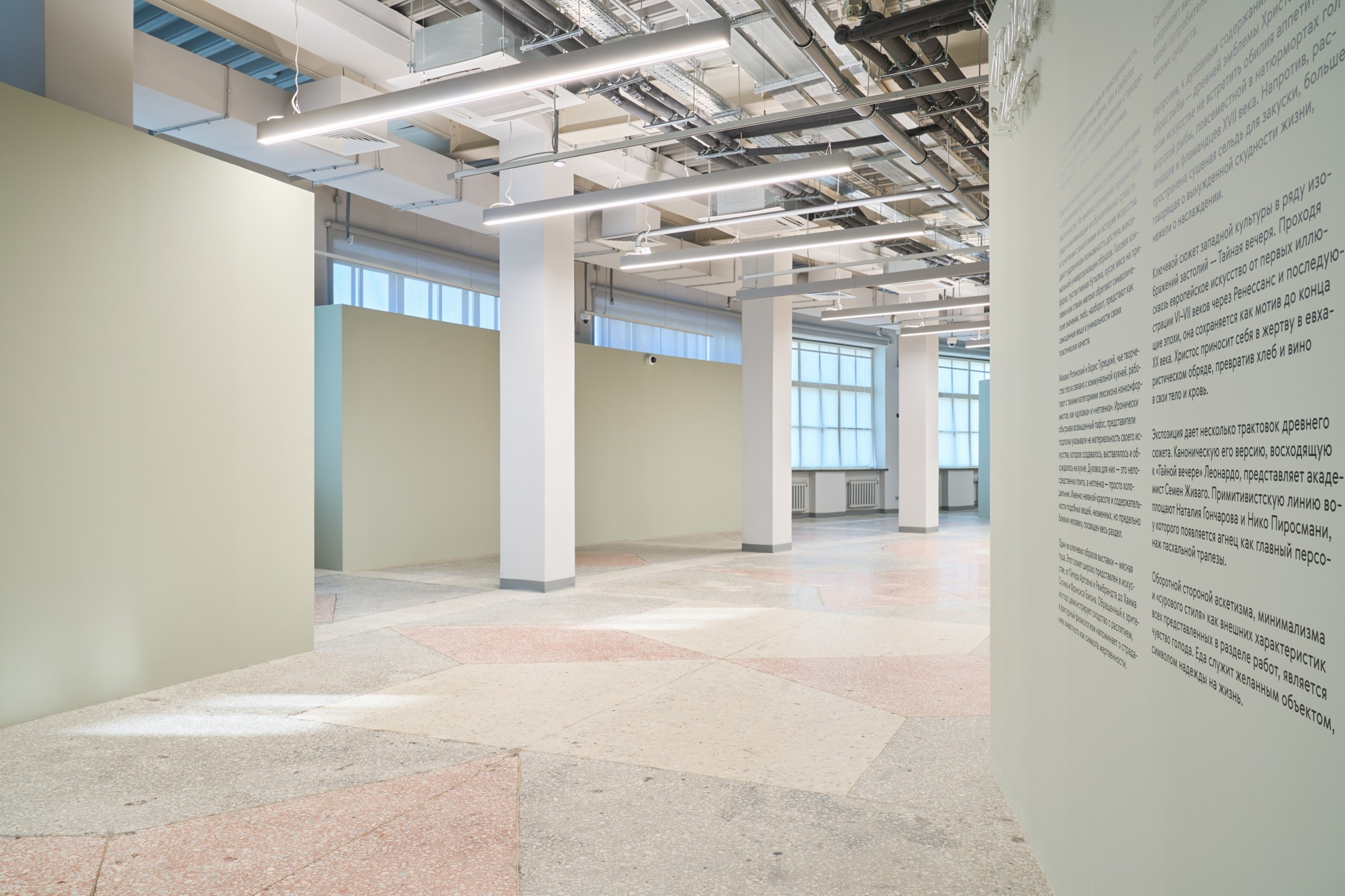 Открытие филиала Третьяковской Галереи. Фотограф Евгений Шаров