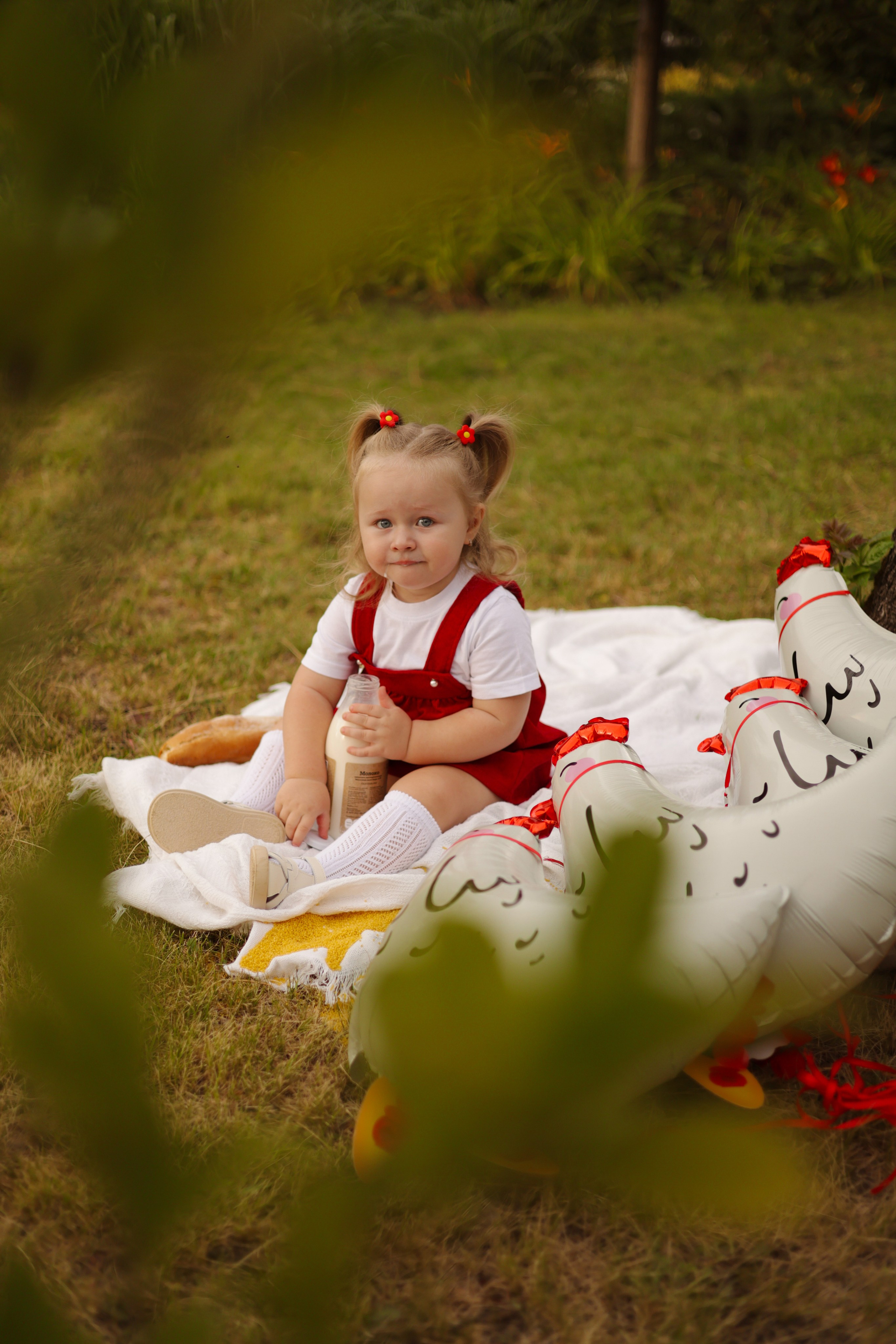 Одним летним днем …🐓. Фотограф Донецк Александра Юрку