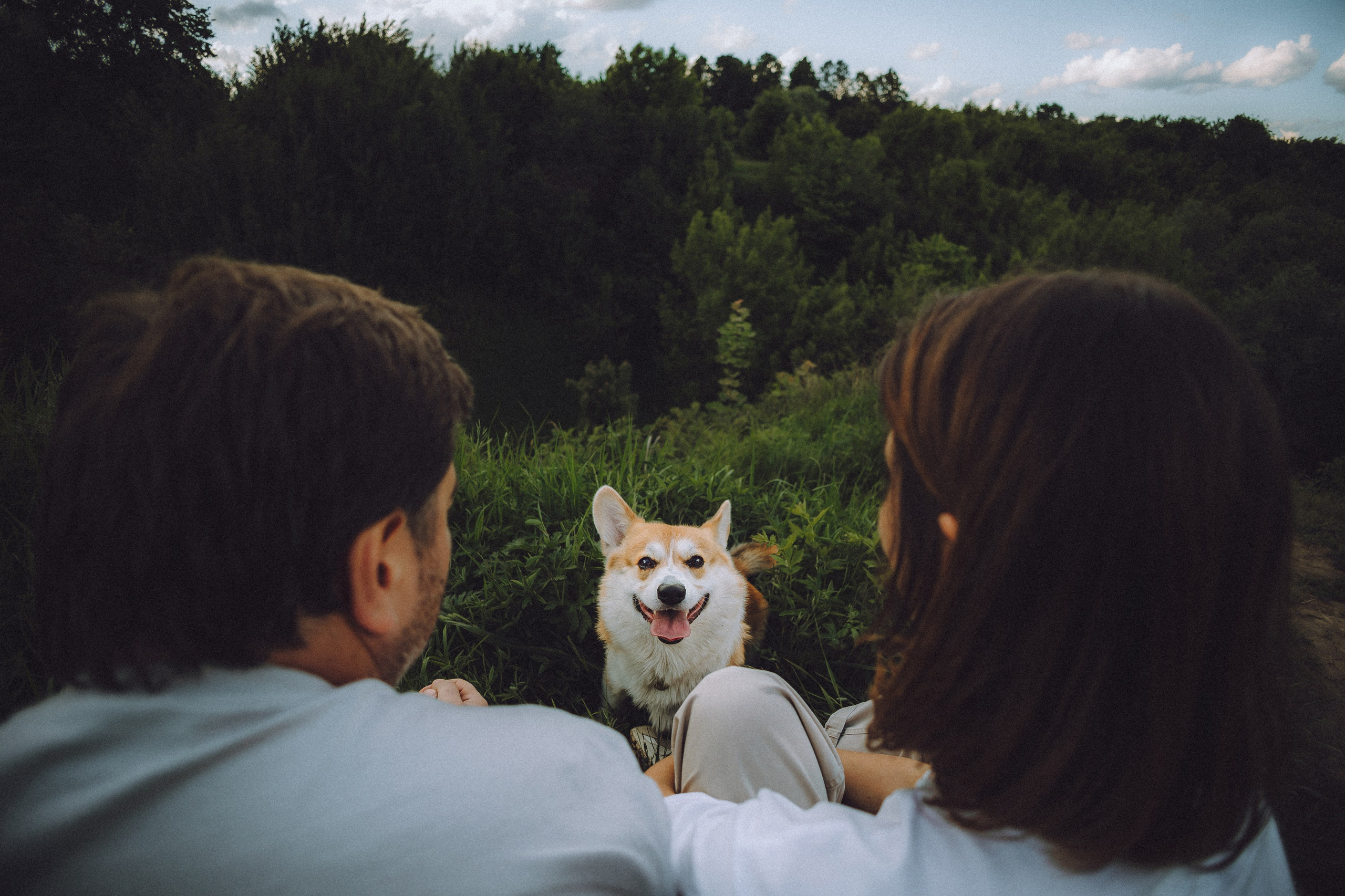 Вирджик и его семья