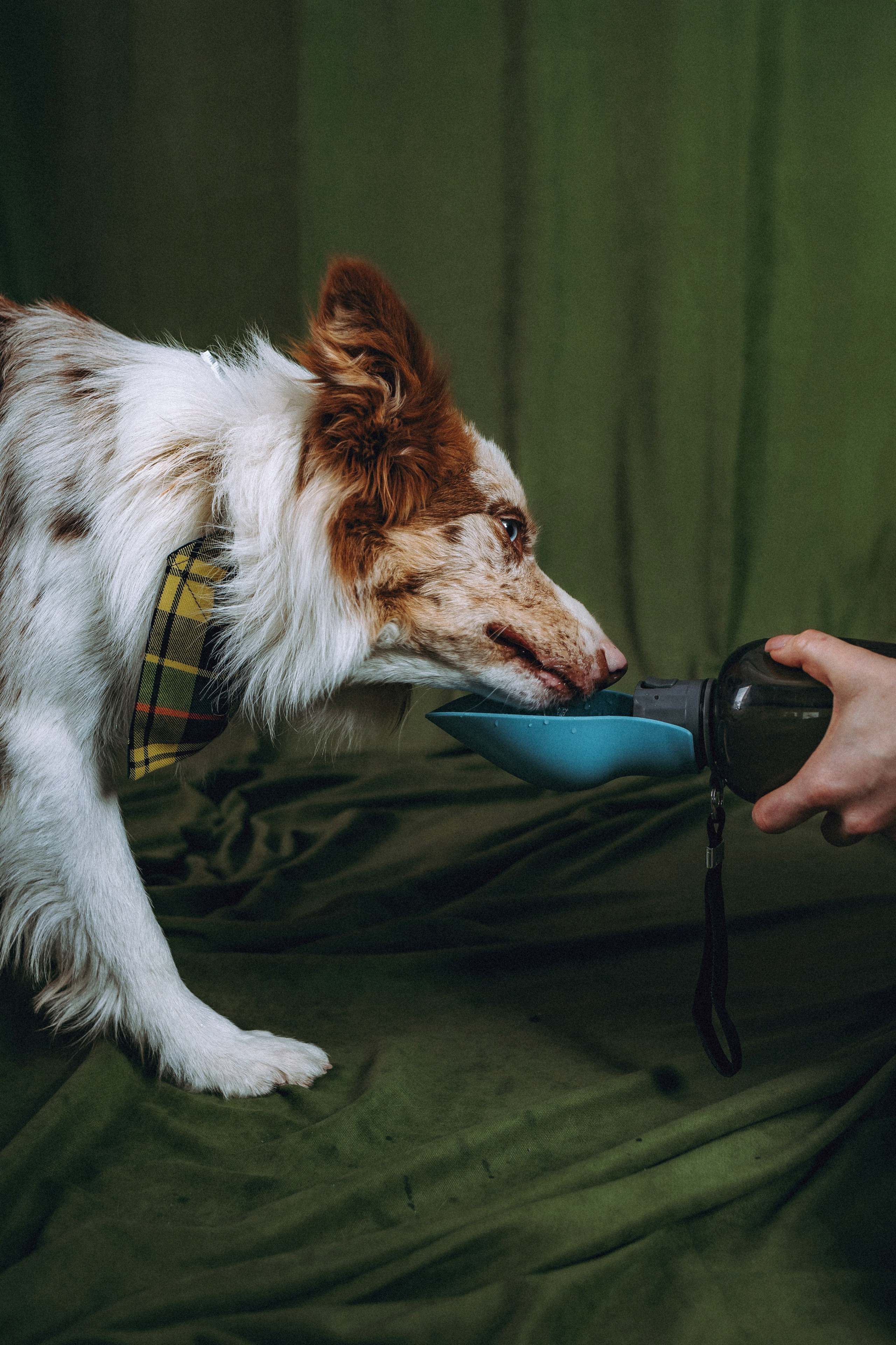 День рождения Айко