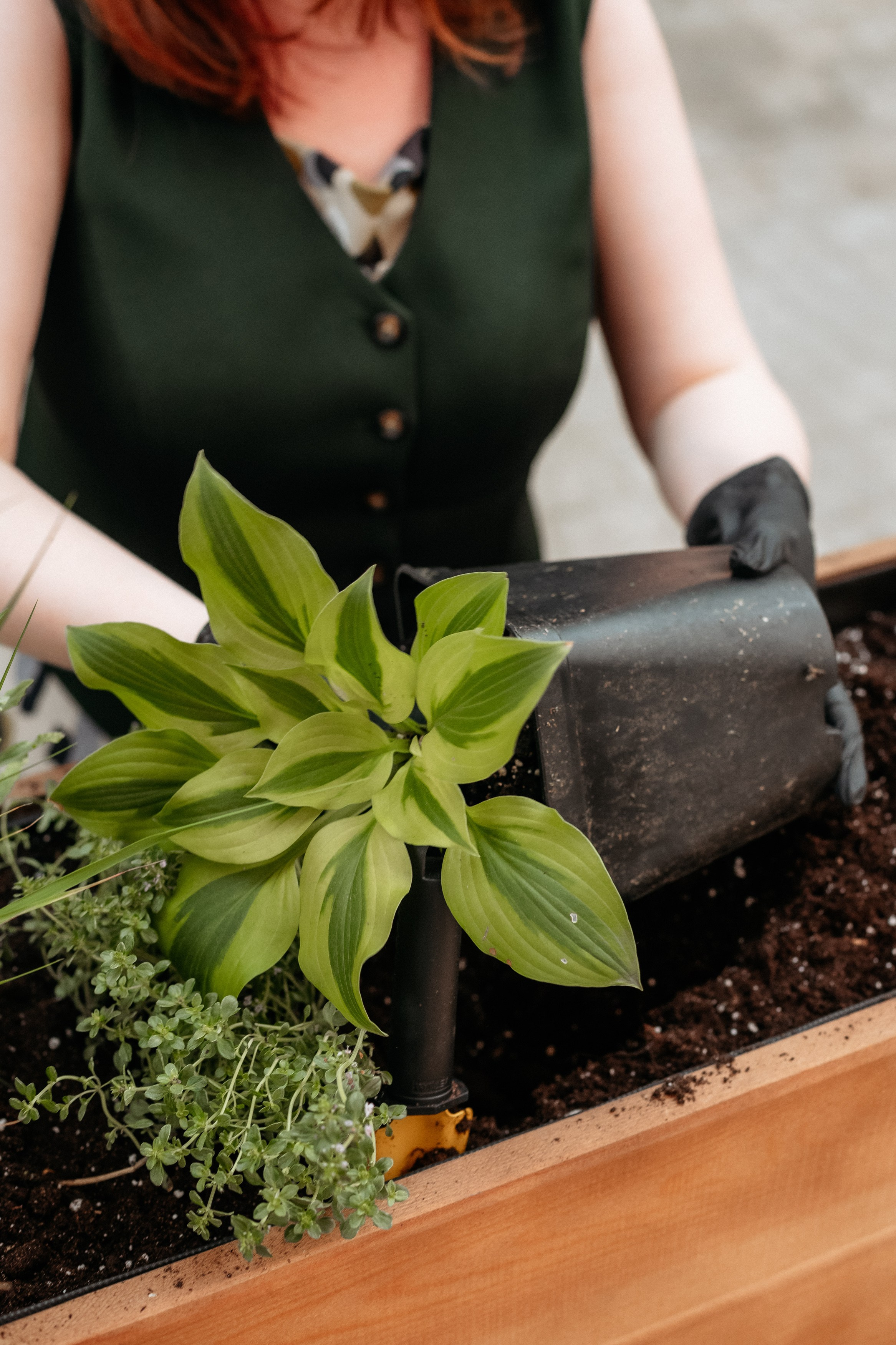 РЕСНОТА — ОТКРЫТИЕ ТЕРРАСЫ. СВОИ. ФОТООТЧЕТЫ-СОБЫТИЯ-МЕСТА