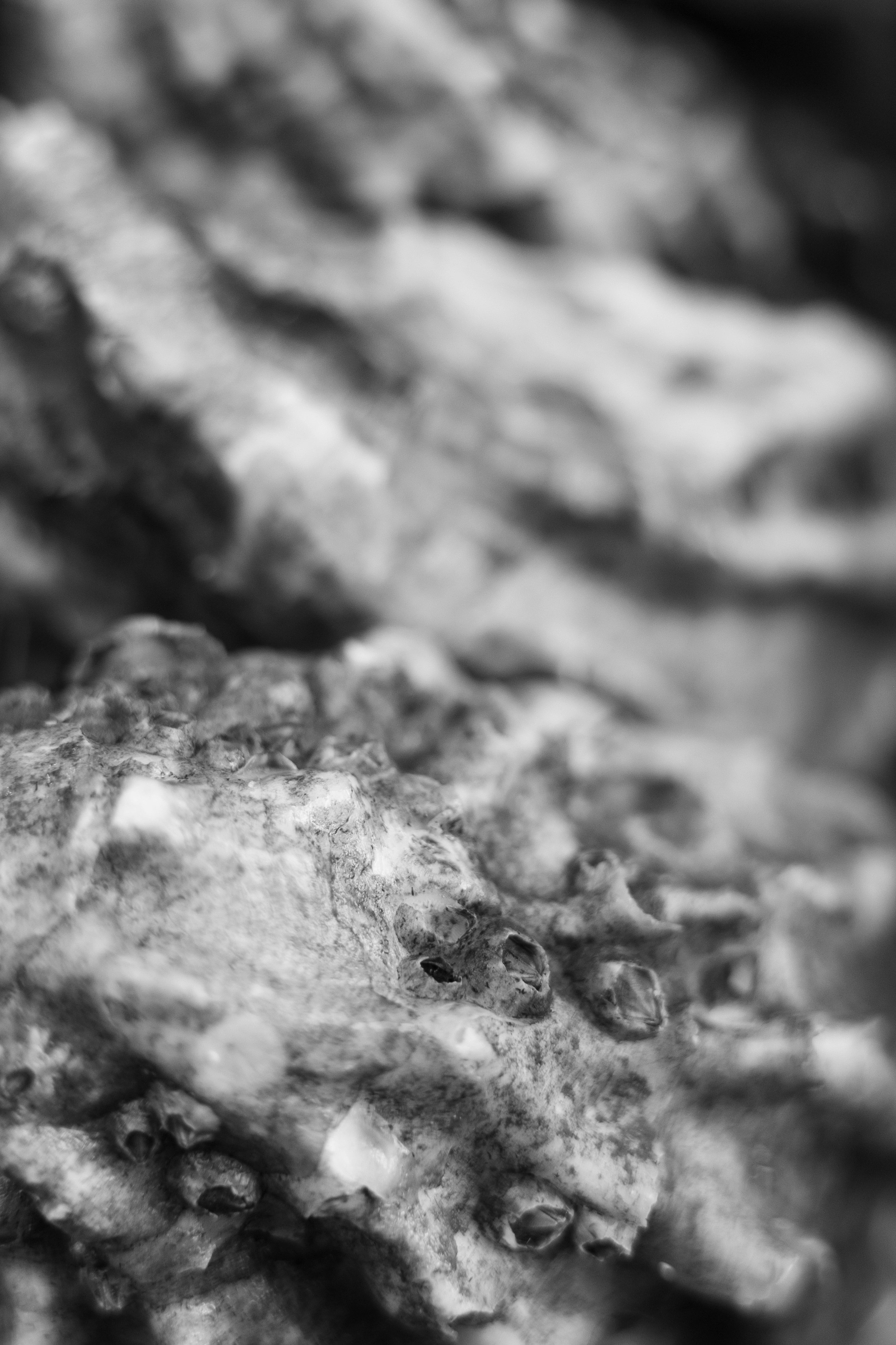 Art prints. Фотограф алина стерхова, алина стерхова фотограф, фотограф москва