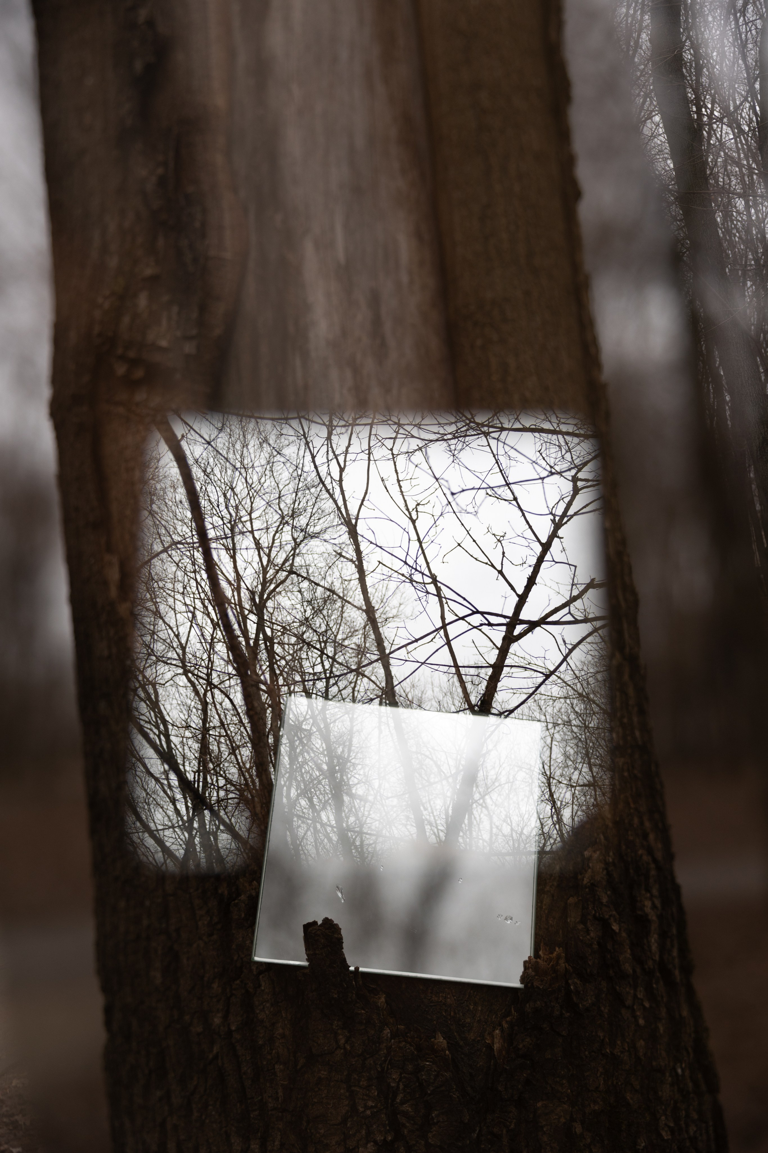 Art prints. Фотограф алина стерхова, алина стерхова фотограф, фотограф москва