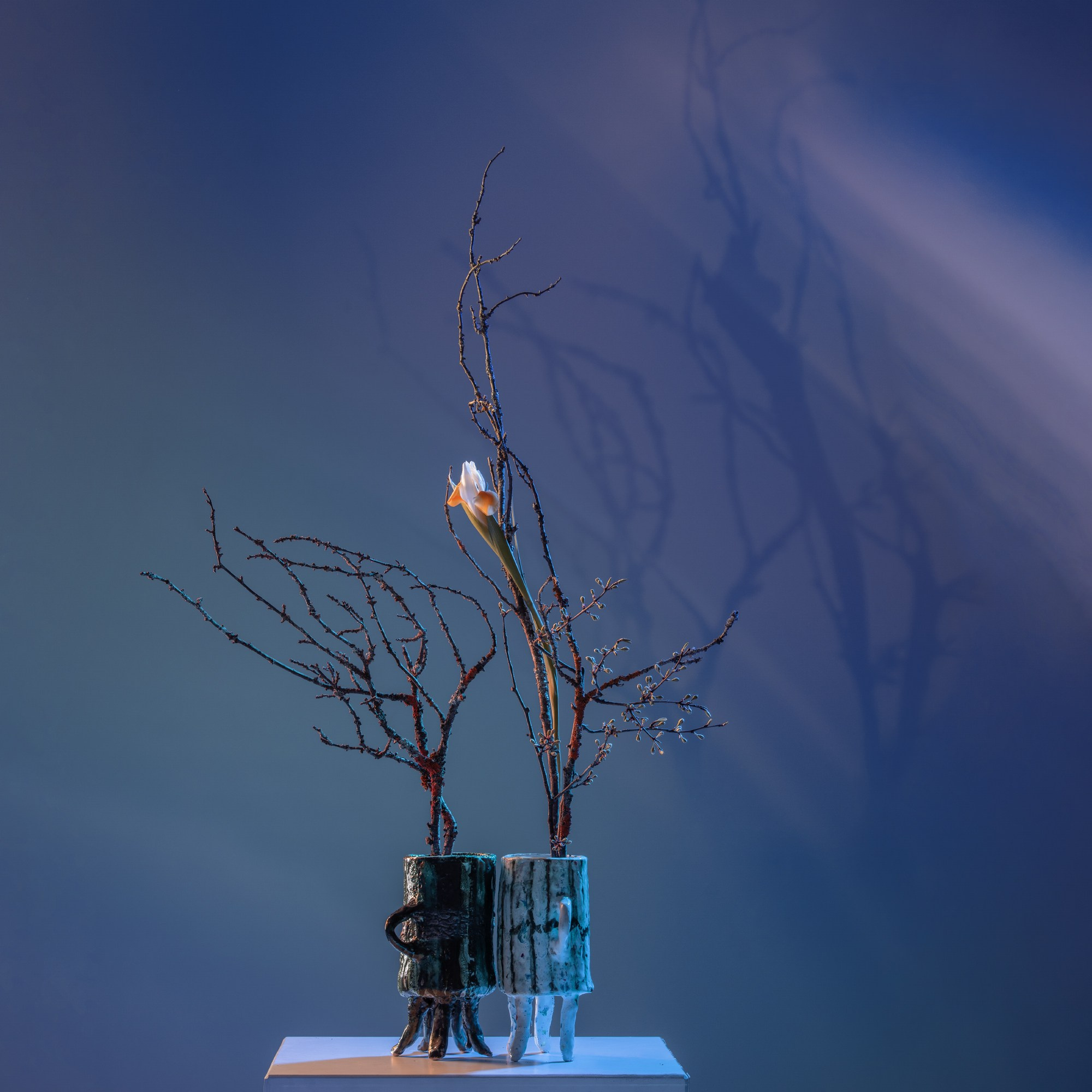 Фотосъёмка икебаны. Фотосъёмка интерьеров и архитектуры гостиниц, промышленная съёмка