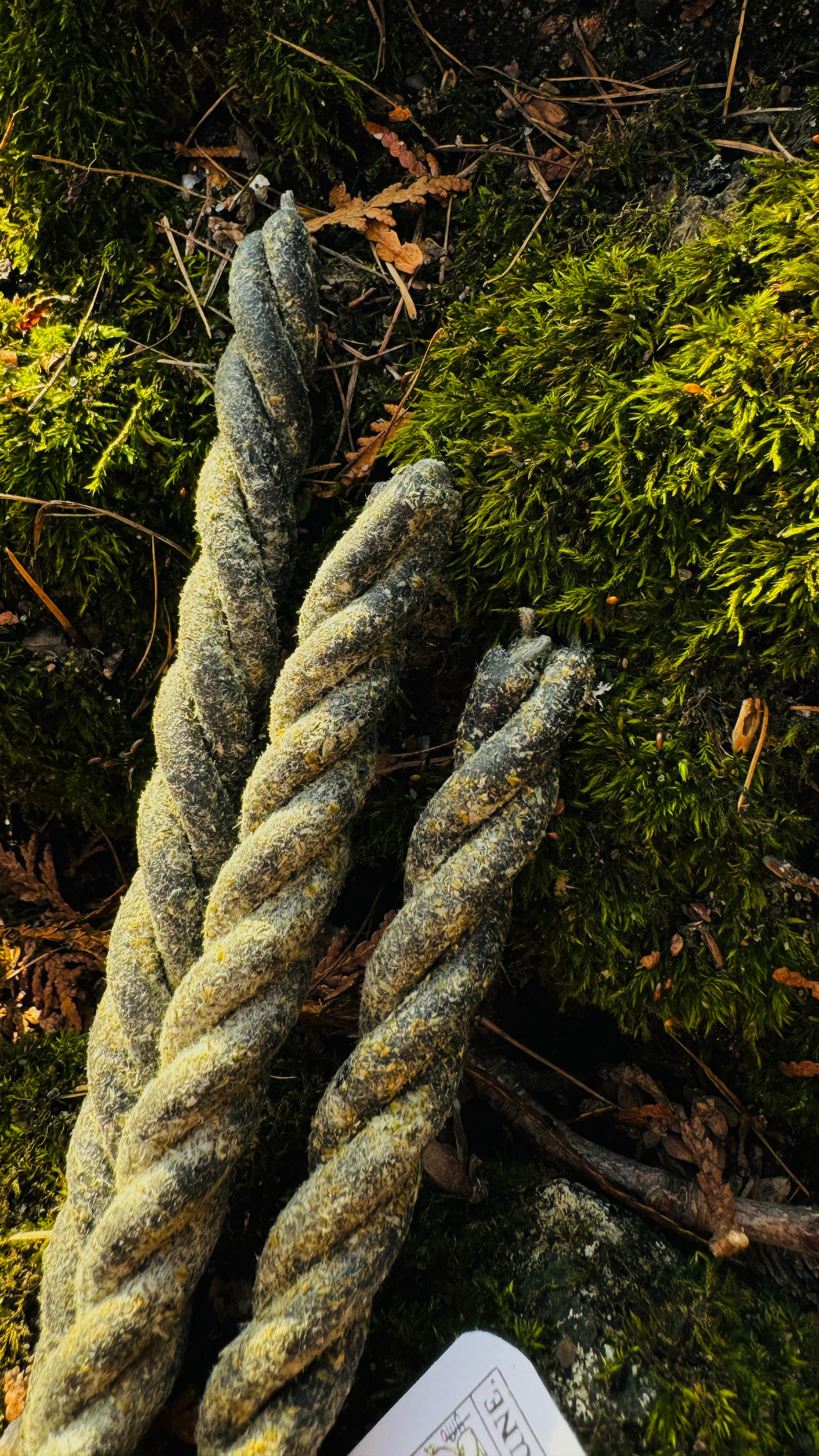 Предметная съемка. Content creator Saint-P