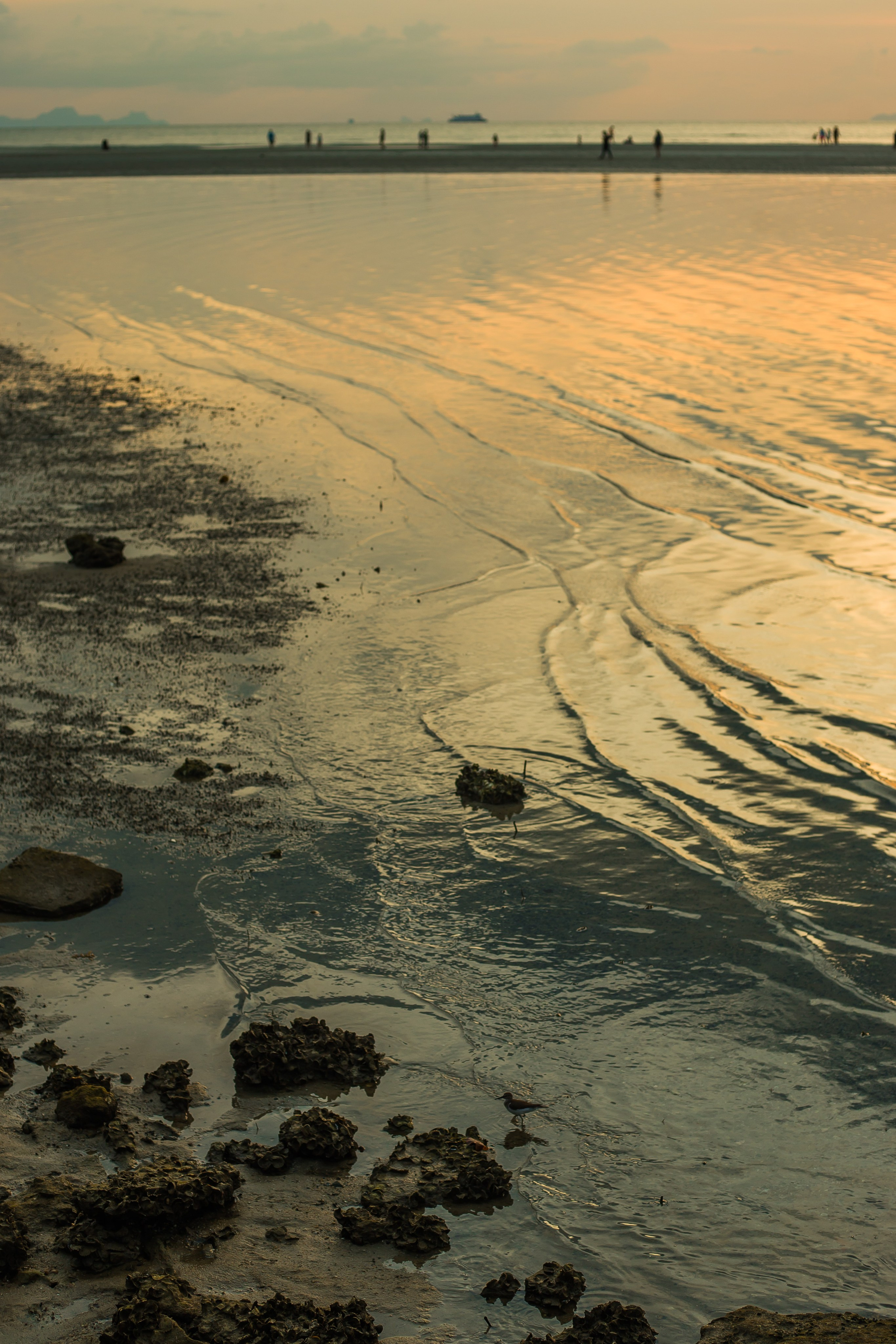 Thailand 2023, Samui. Art Photographer