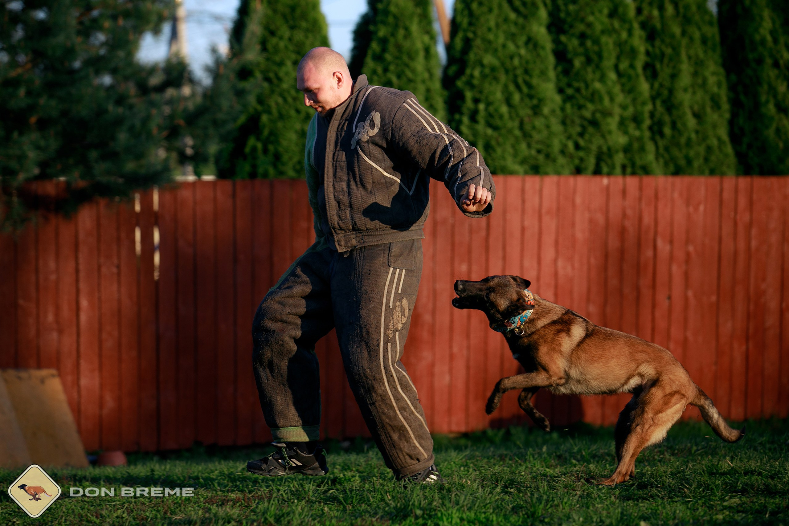 Семинар для фигурантов, день 3. Фотограф-анималист Mary Mart — Москва, Питер